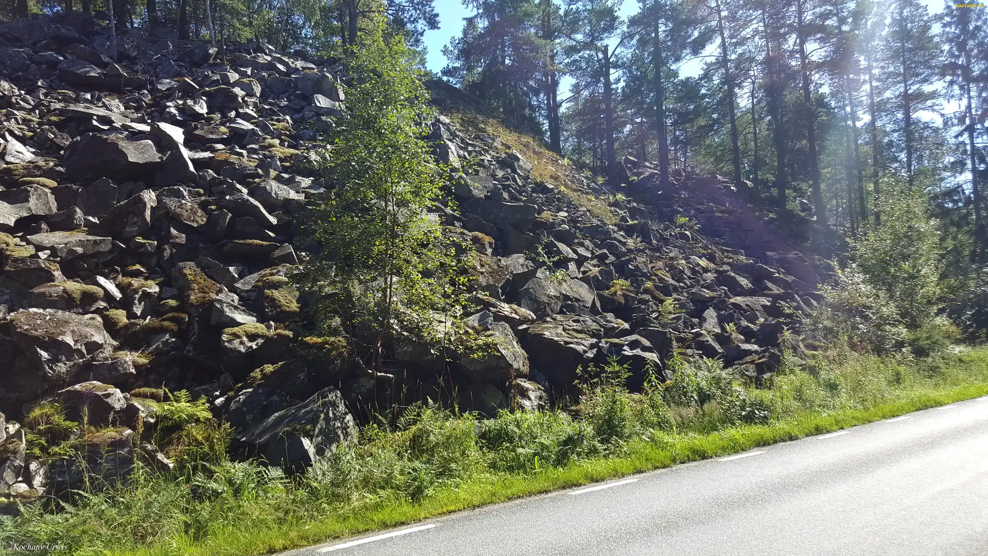 Skarpa, Kamienie, Las, Droga, Promienie, Słońca