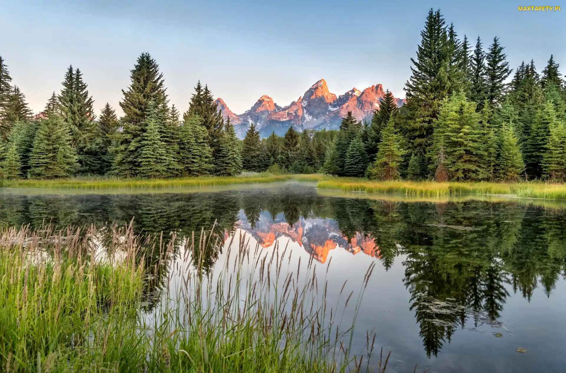 Stan Wyoming, Stany Zjednoczone, Drzewa, Rzeka Snake River, Góry Teton Range, Odbicie, Park Narodowy Grand Teton
