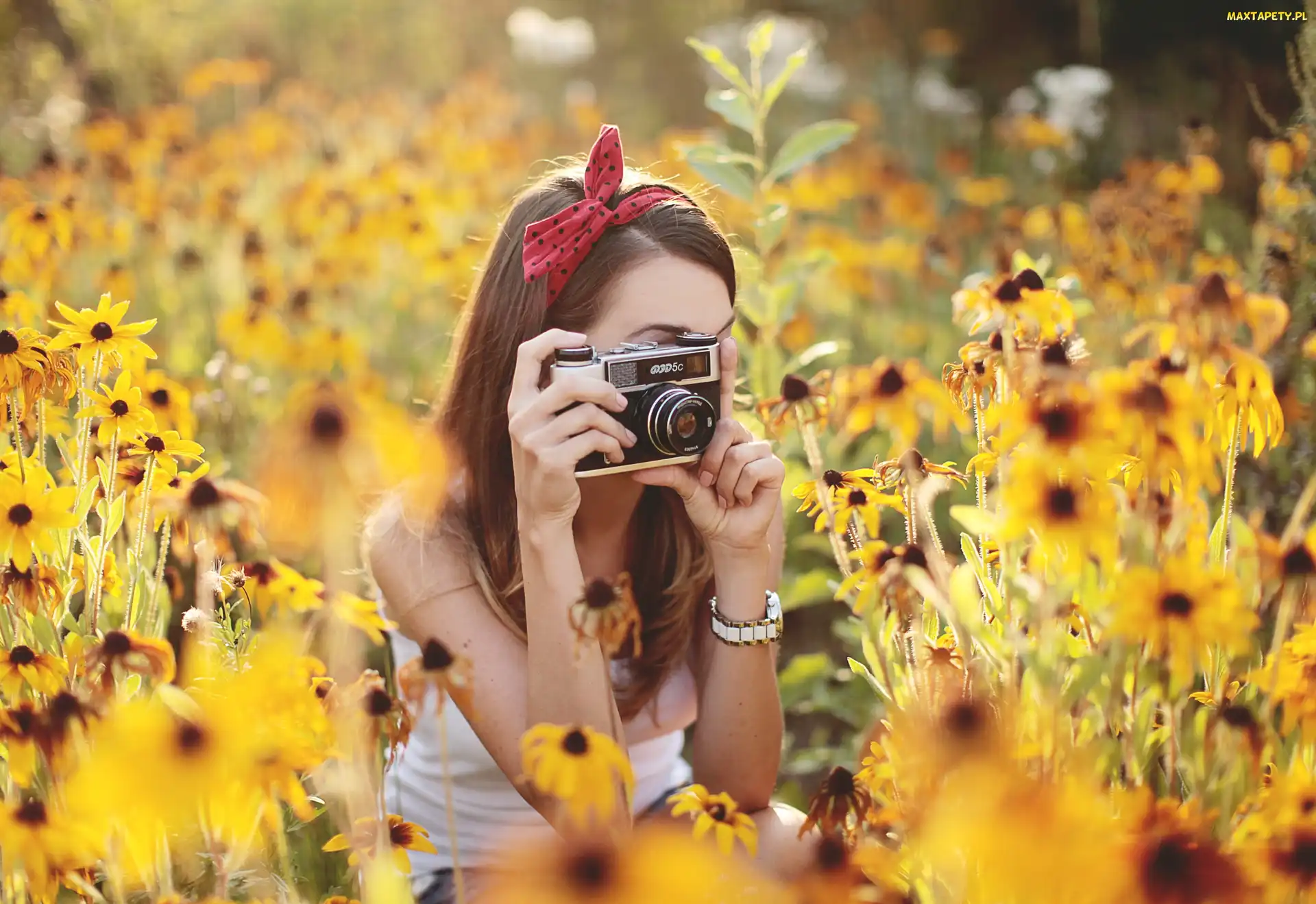 Dziewczyna, Aparat, Tło, Rudbekie, Rozmyte, Fotograficzny