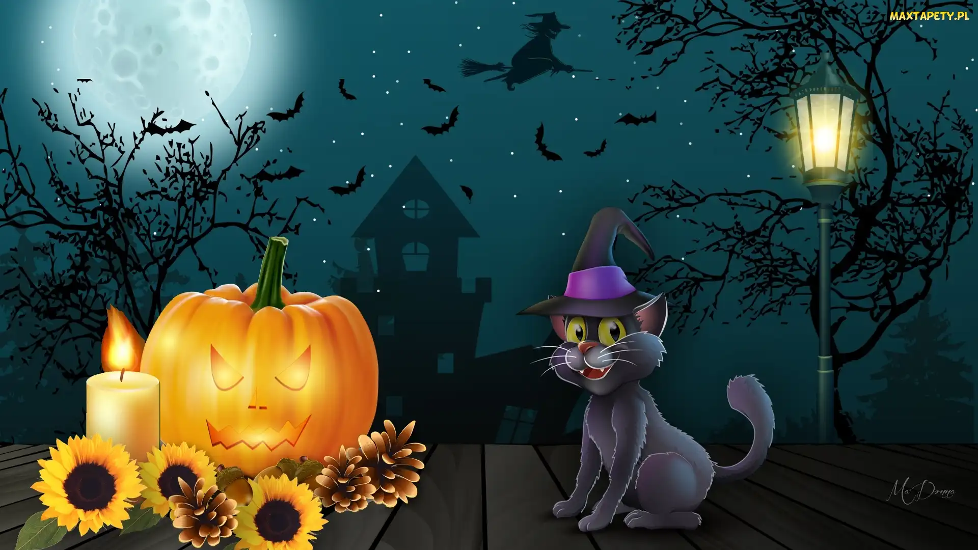 Latarnia, Dynia, Halloween, Kot