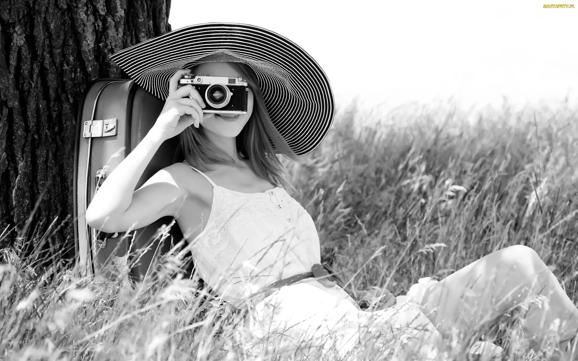 Aparat, Trawa, Walizka, Fotograficzny, Kobieta