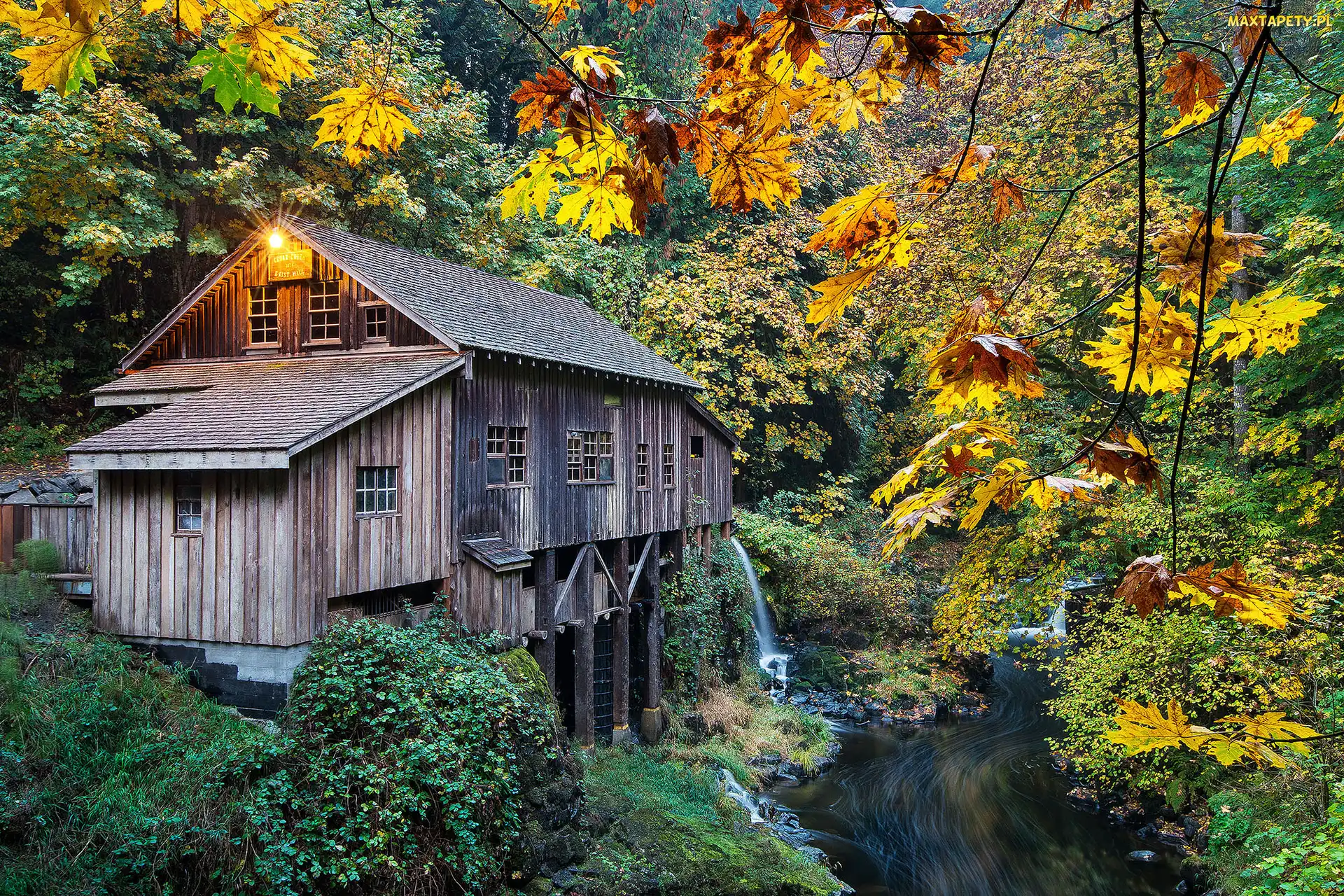 Stan Waszyngton, Woodland, Rzeka, Stany Zjednoczone, Las, Młyn Cedar Creek Grist Mill, Drzewa