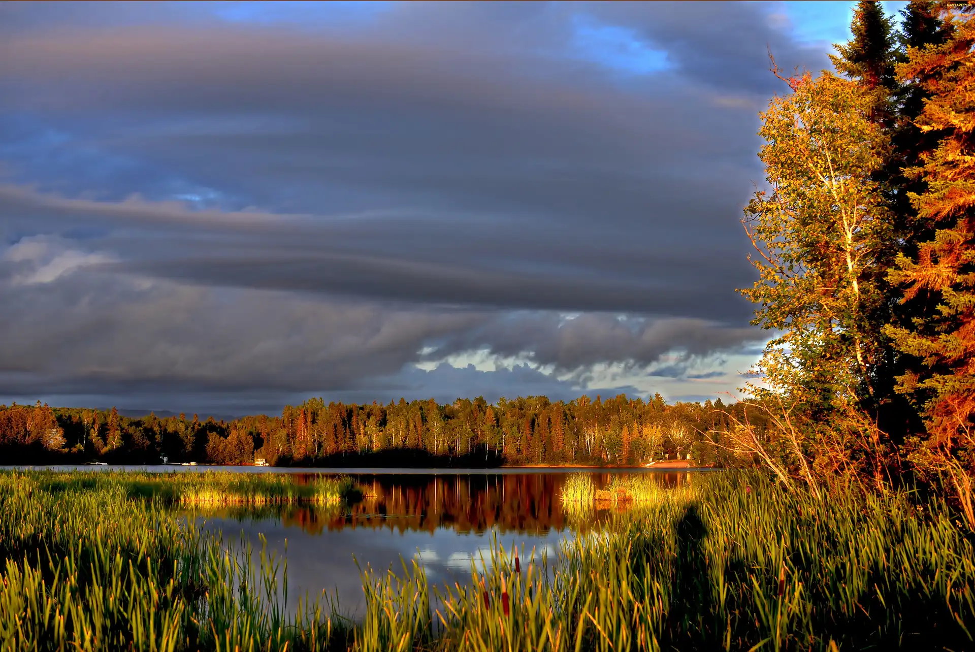 Jezioro, Drzewa, Chmury, Jesień, Odbicie