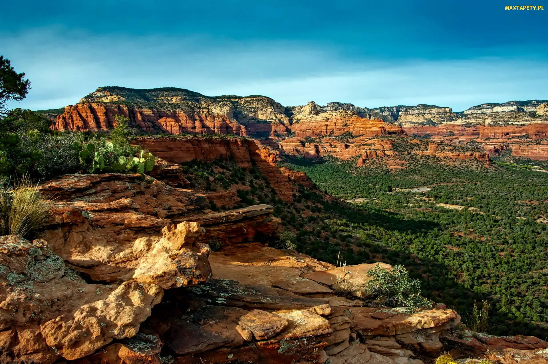 Niebo, Drzewo, Kanion, Wielki, Arizona, Las