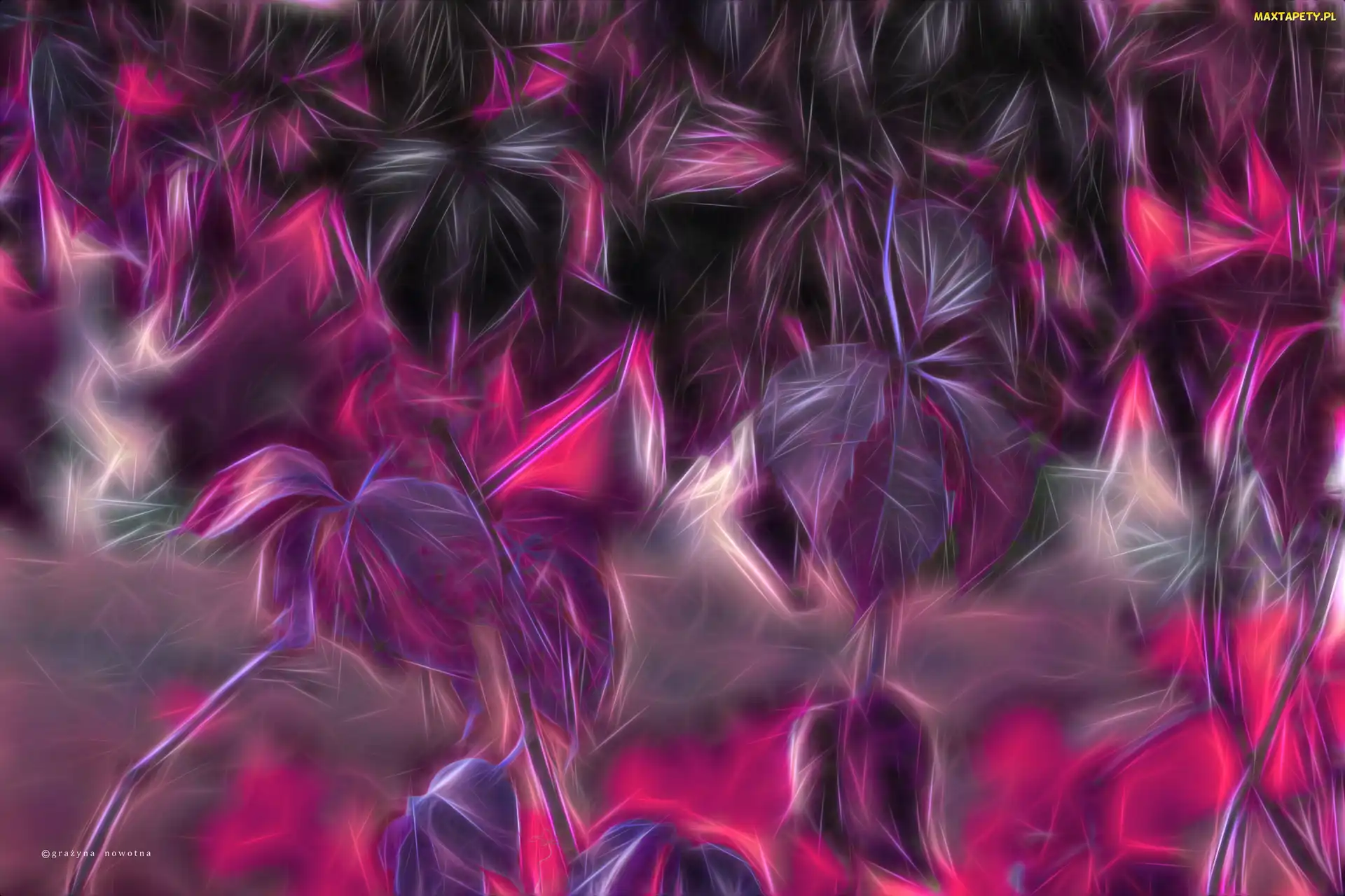 Fioletowe, Liście, Fractalius