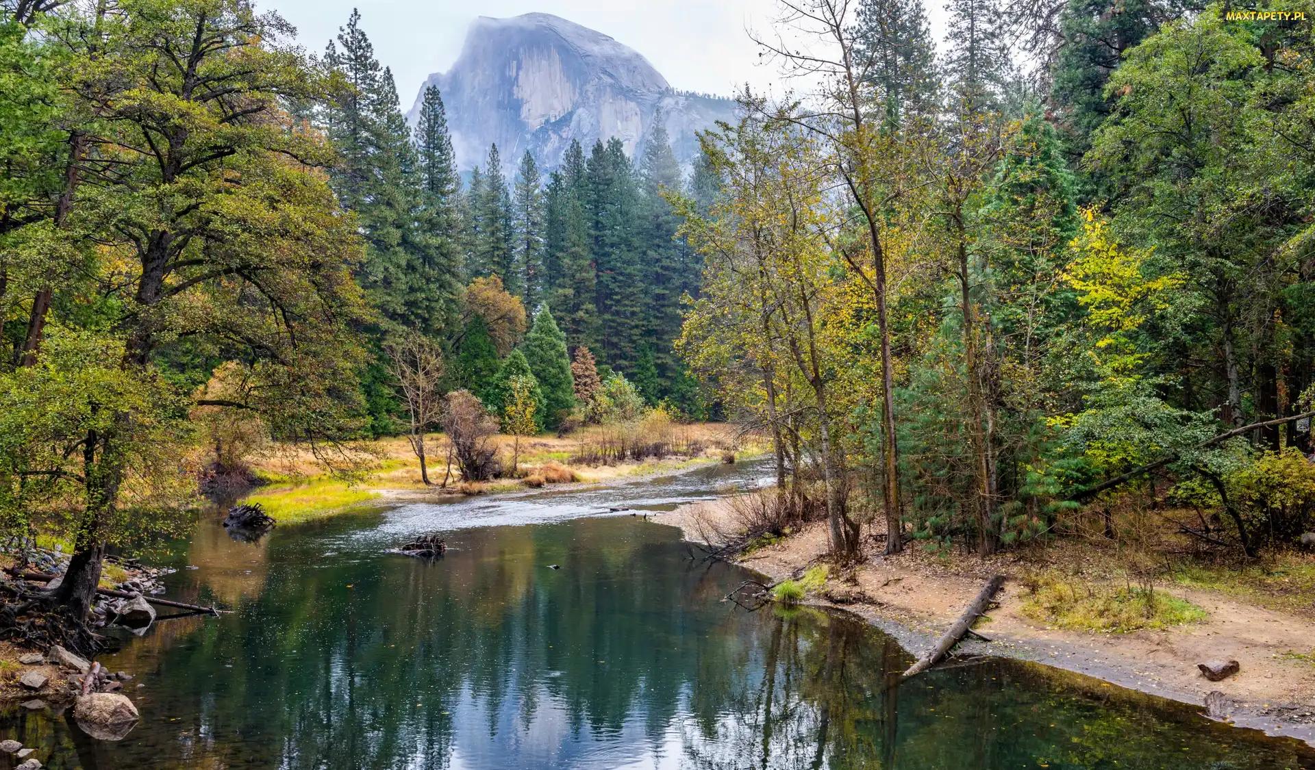 Góry, Rzeka, Stan Kalifornia, Stany Zjednoczone, Park Narodowy Yosemite, Las