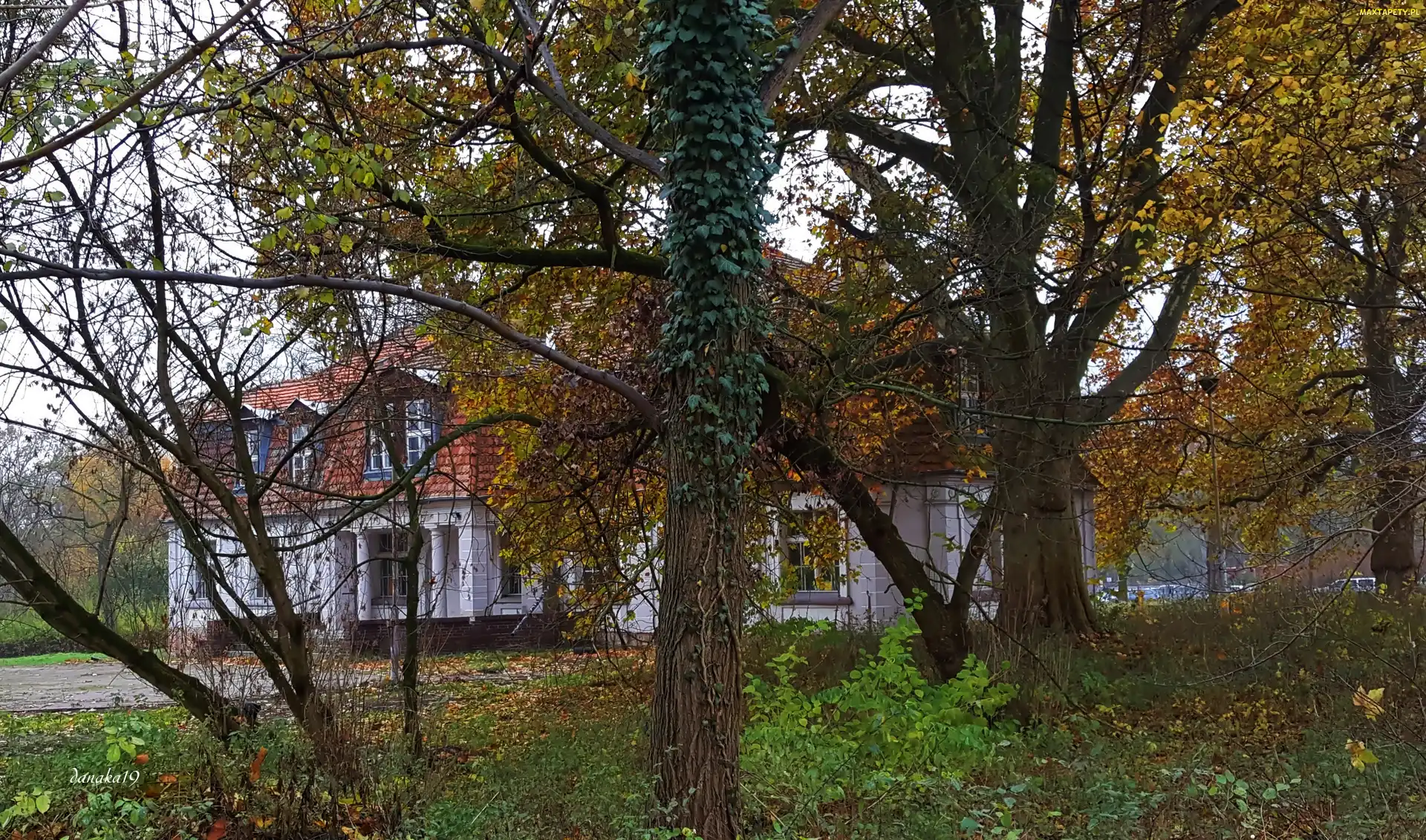 Jesień, Park, Odrestaurowany, Dworek