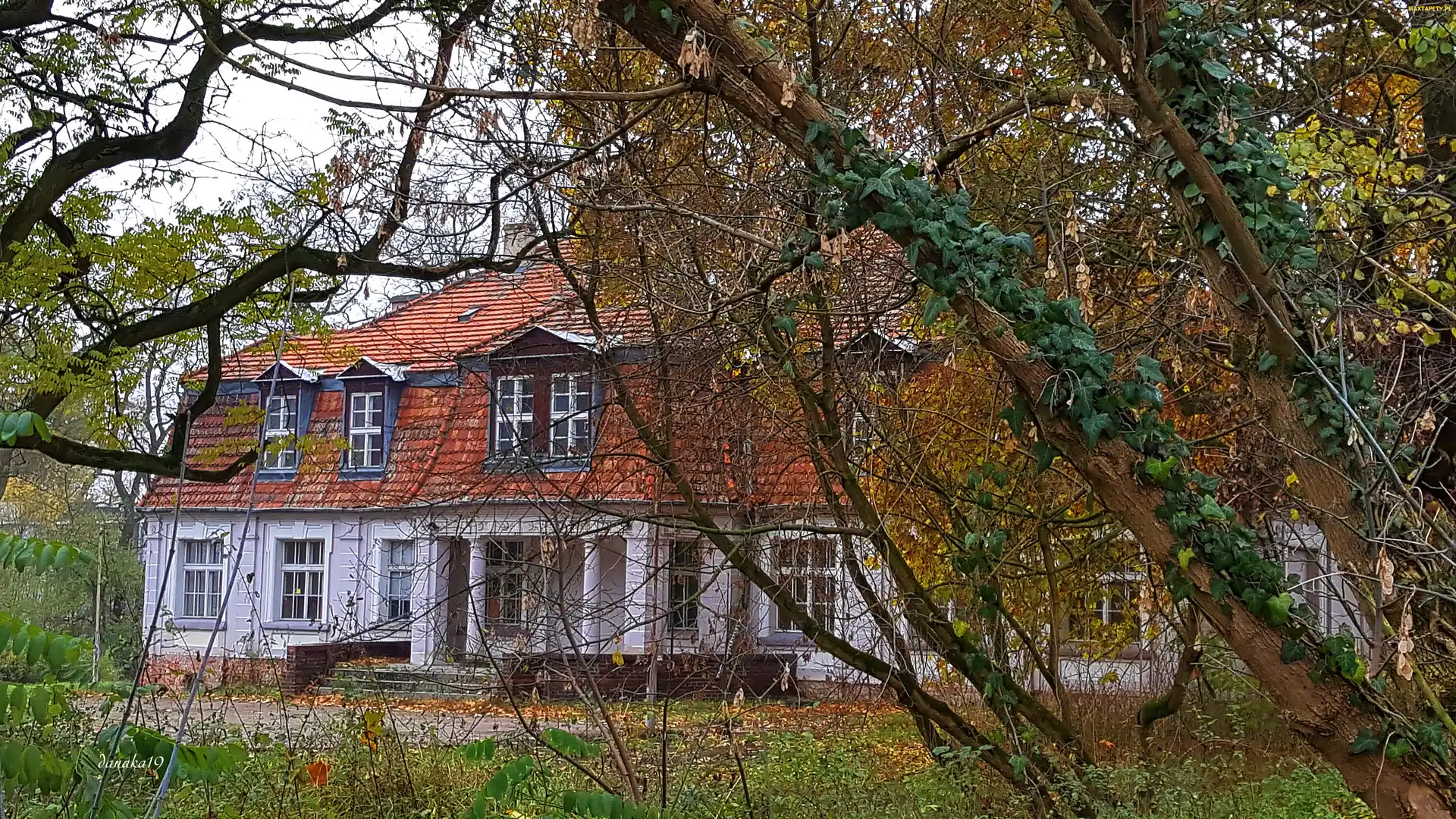 Jesień, Park, Odrestaurowany, Dworek