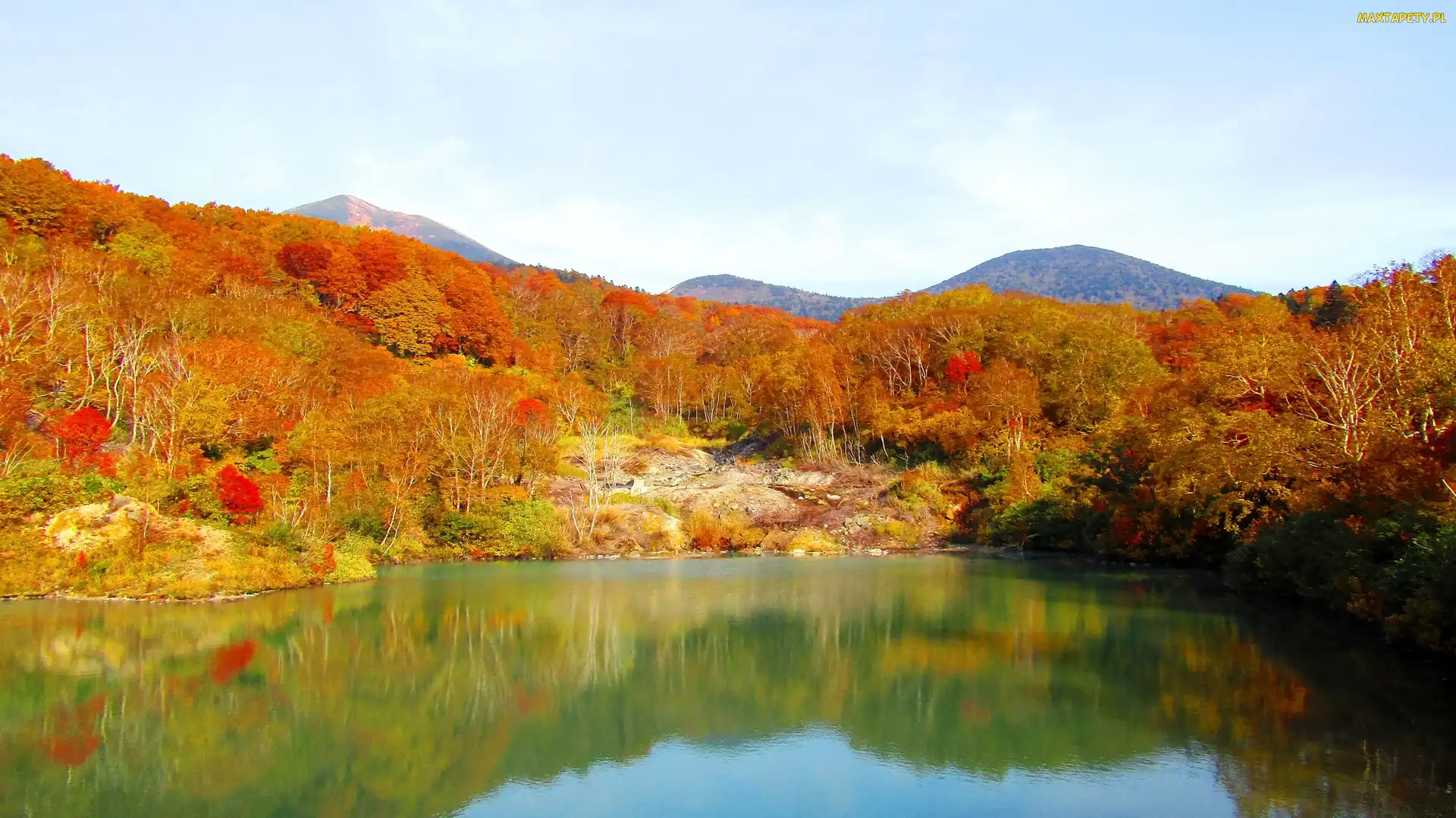 Góry, Drzewa, Jezioro, Las