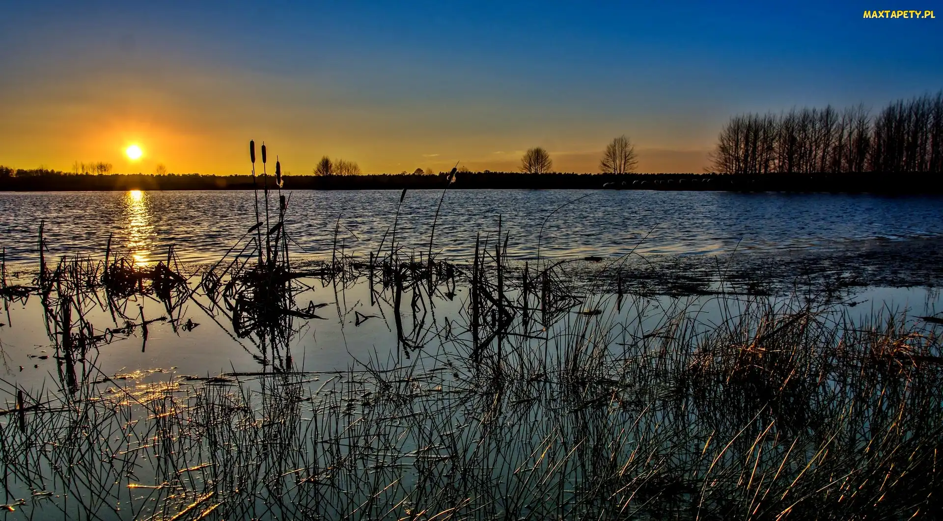 Słońca, Zachód, Szuwary, Jezioro