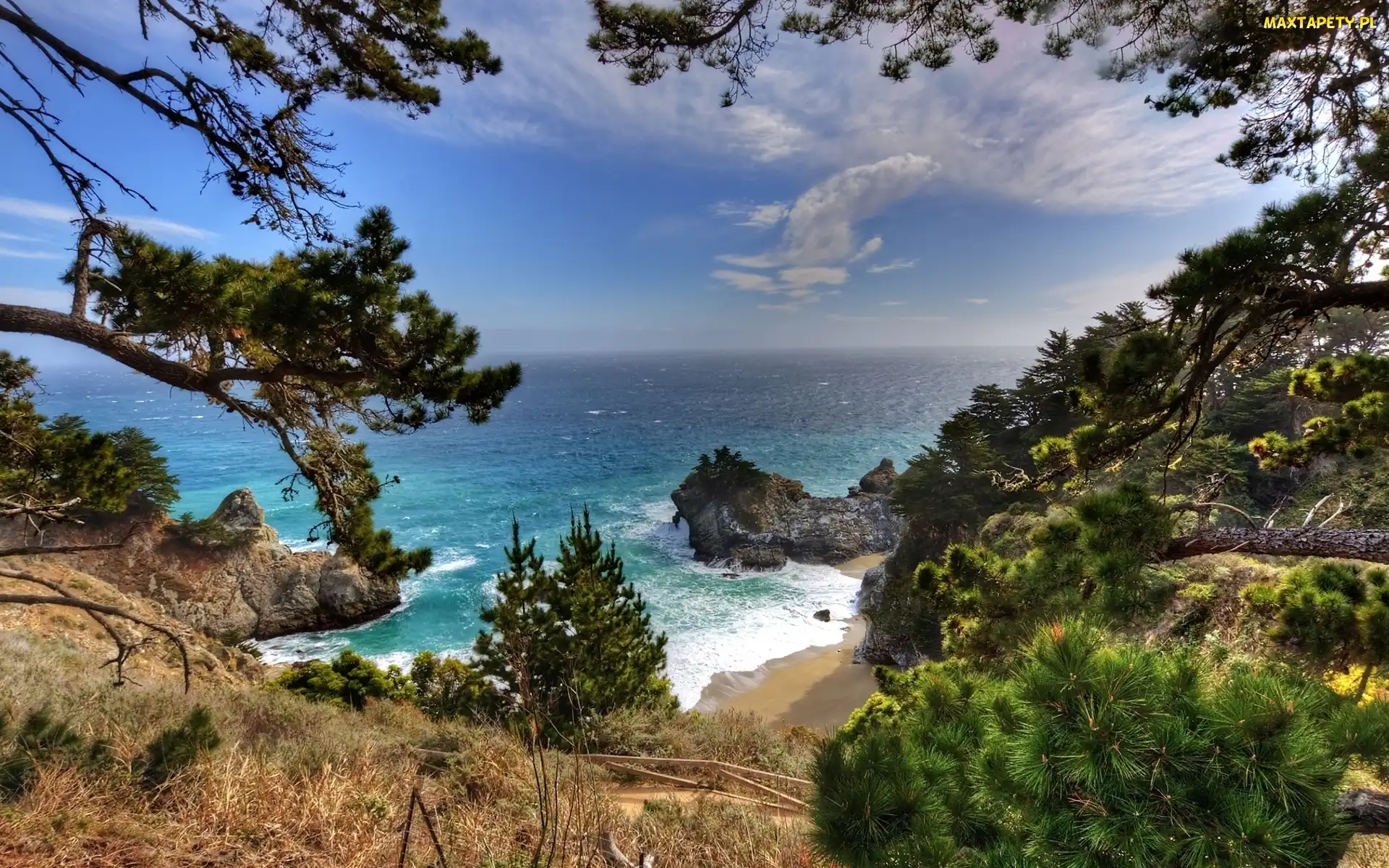 Drzewa, Wzgórza, Ocean, Góry