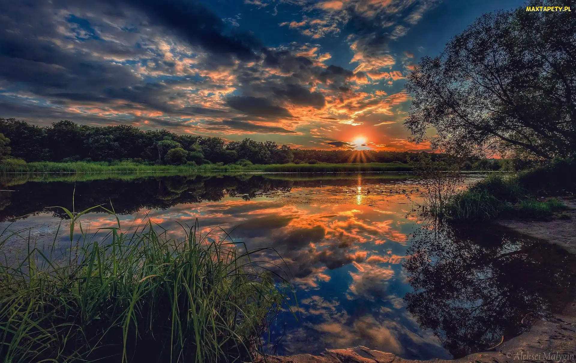 Drzewa, Szuwary, Zachód słońca, Jezioro