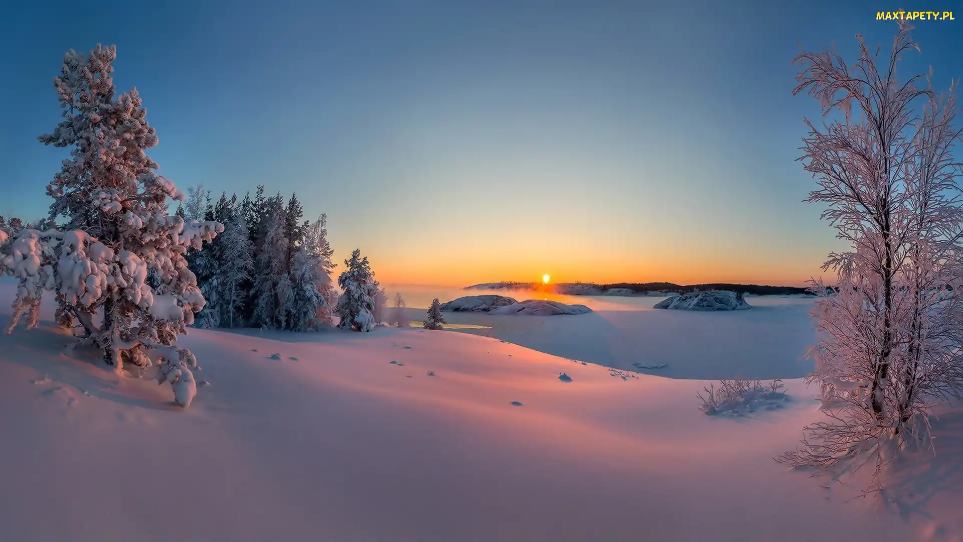 Drzewa, Wschód słońca, Śnieg, Zima