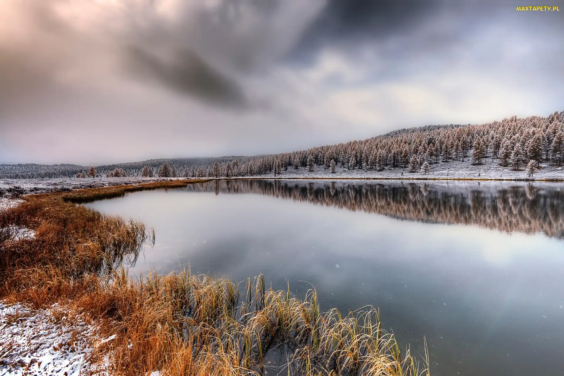 Śnieg, Trawy, Zima, Jezioro