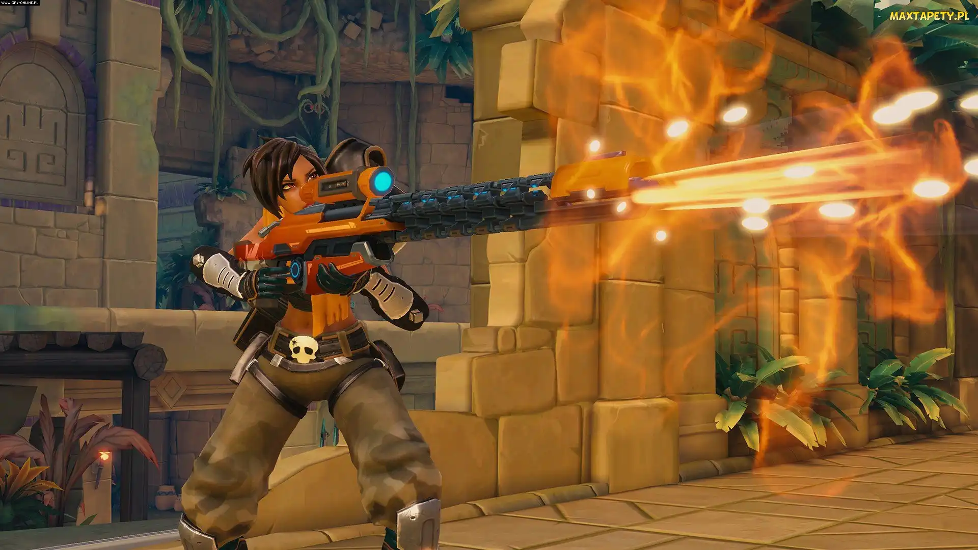 Gra, Paladins