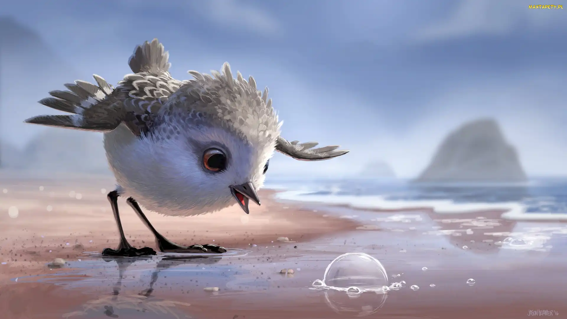 Ptak, Grafika 2D, Plaża