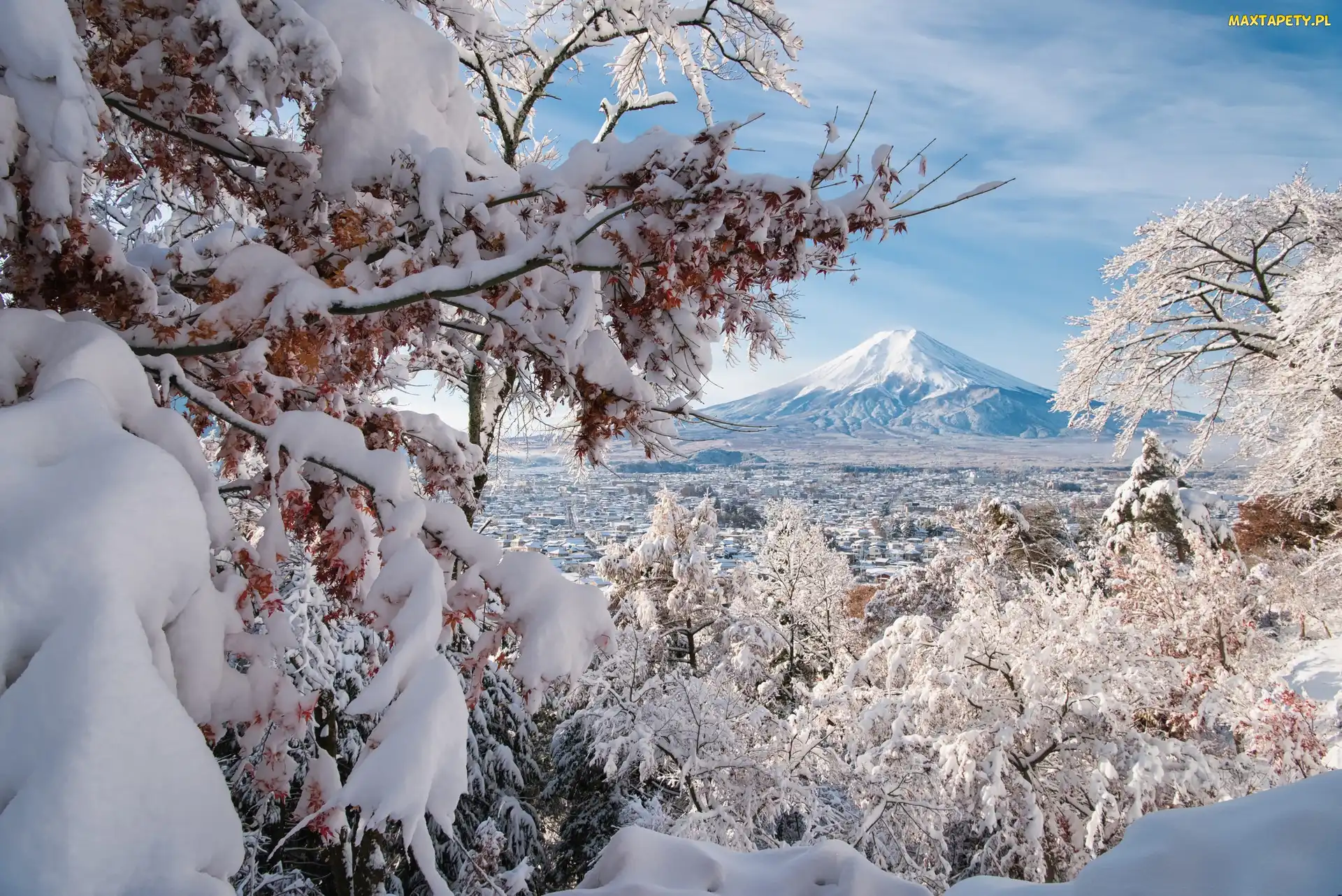 Zima, Drzewa, Japonia, Góra, Fuji, Dolina