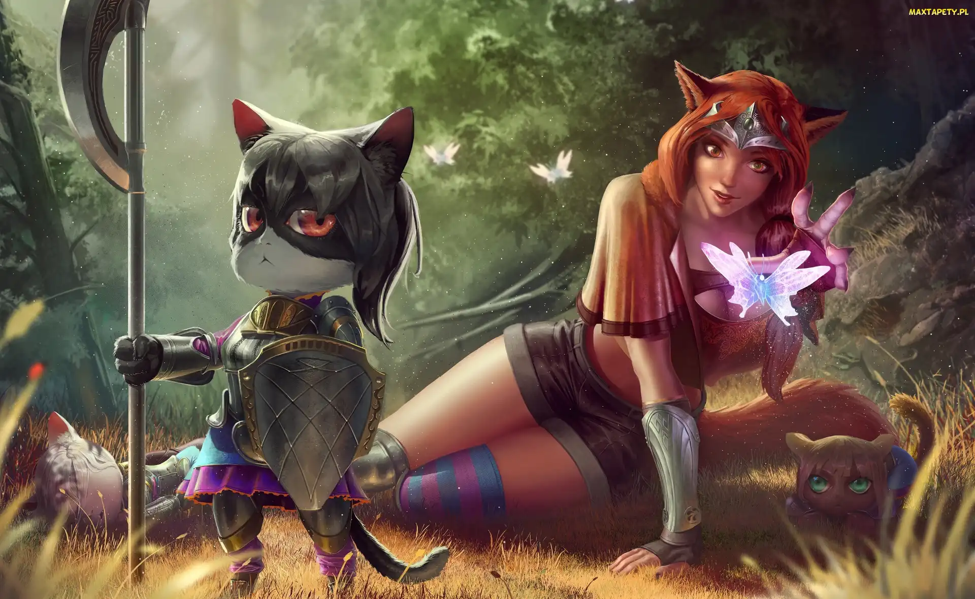Kobieta, Włócznia, Kot, Elf, Fantasy