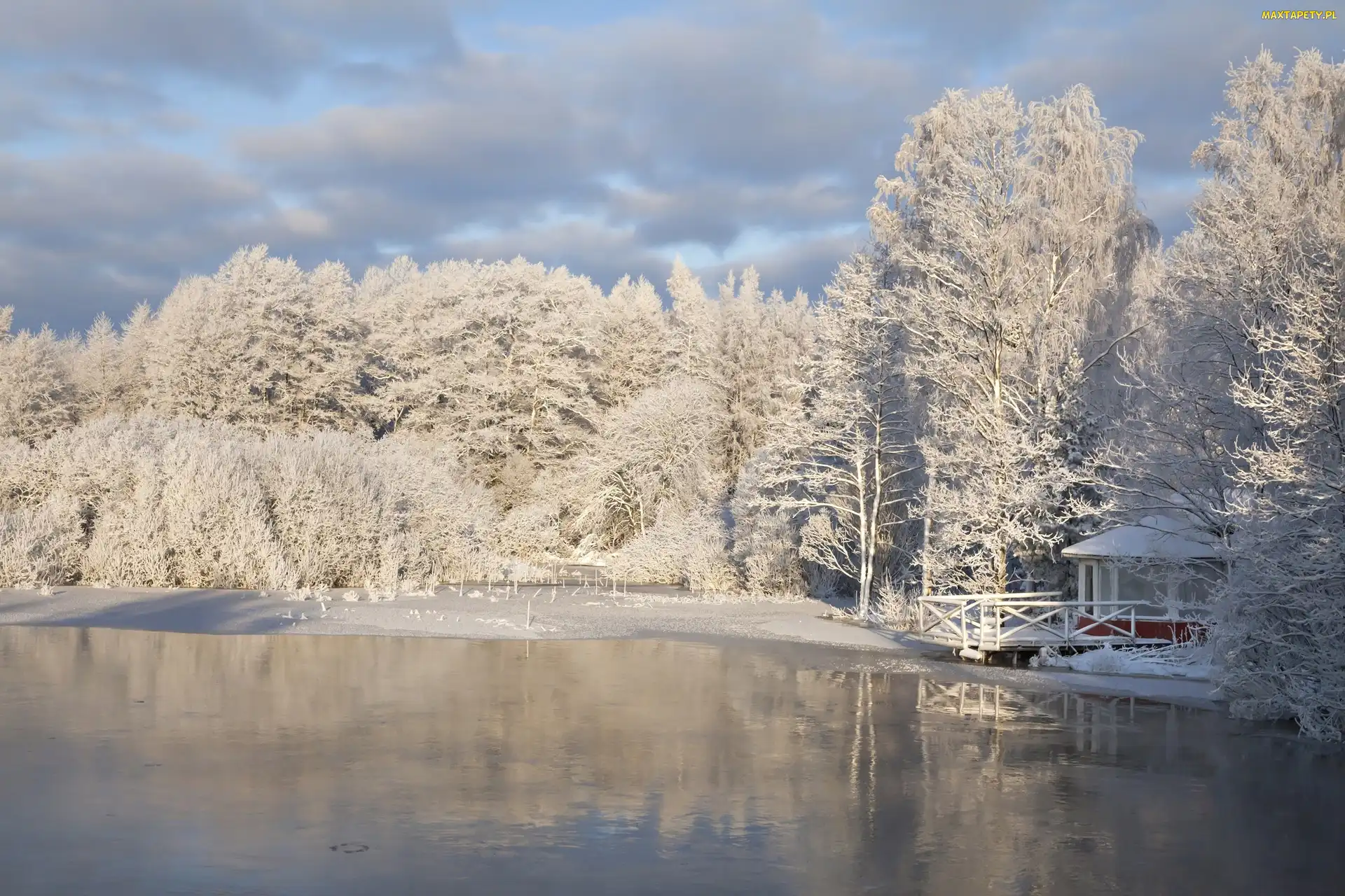 Drzewa, Ośnieżone, Jezioro, Altana