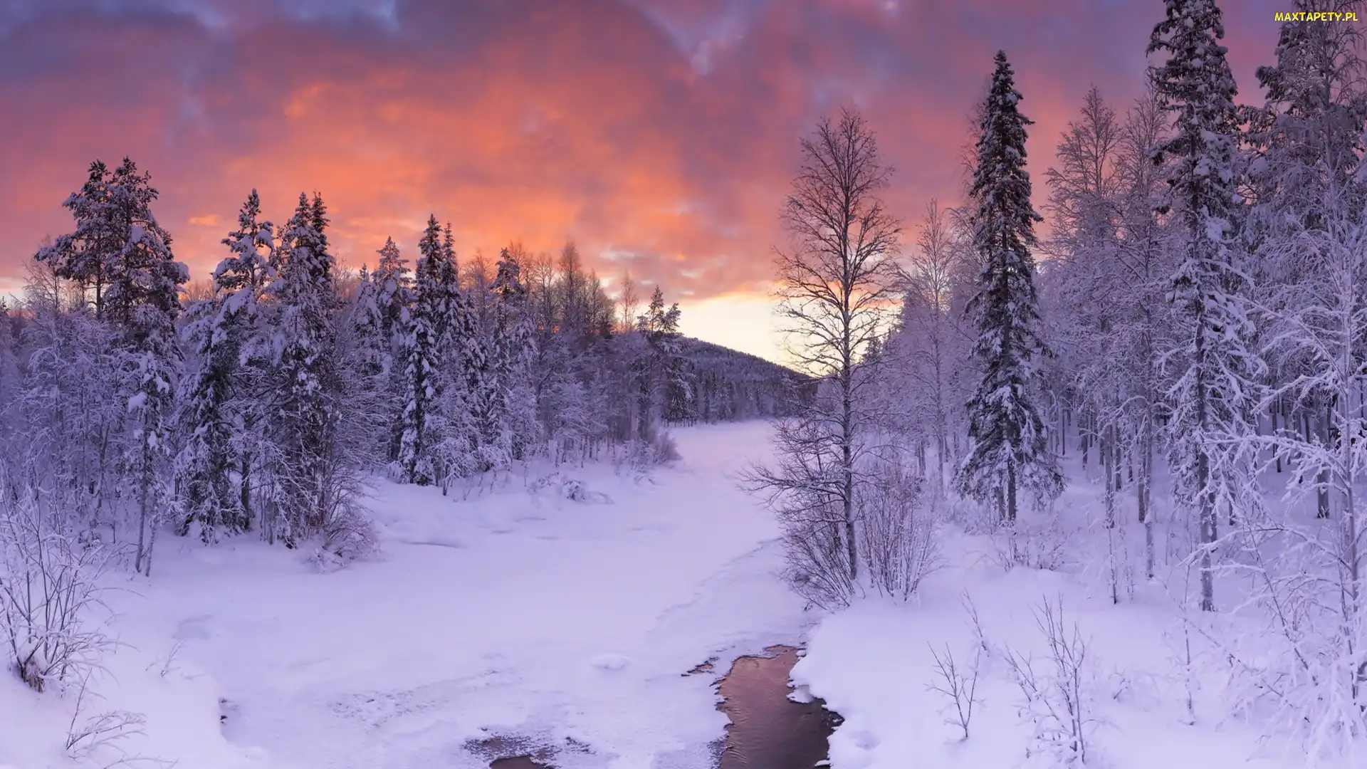 Finlandia, Rzeczka, Zima, Las, Laponia