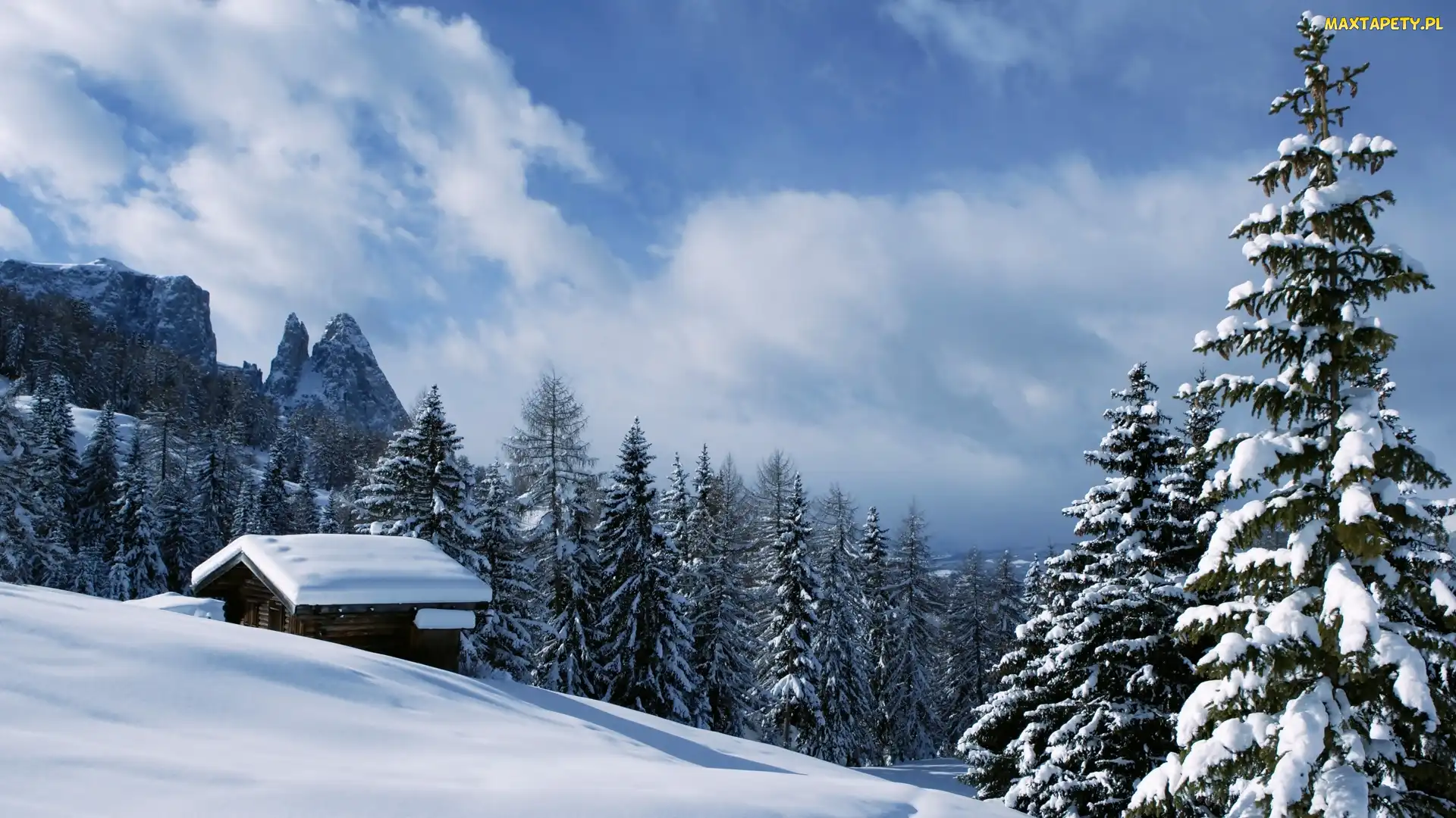 Zima, Val Gardena, Domek, Włochy, Świerki, Dolomity, Lasy