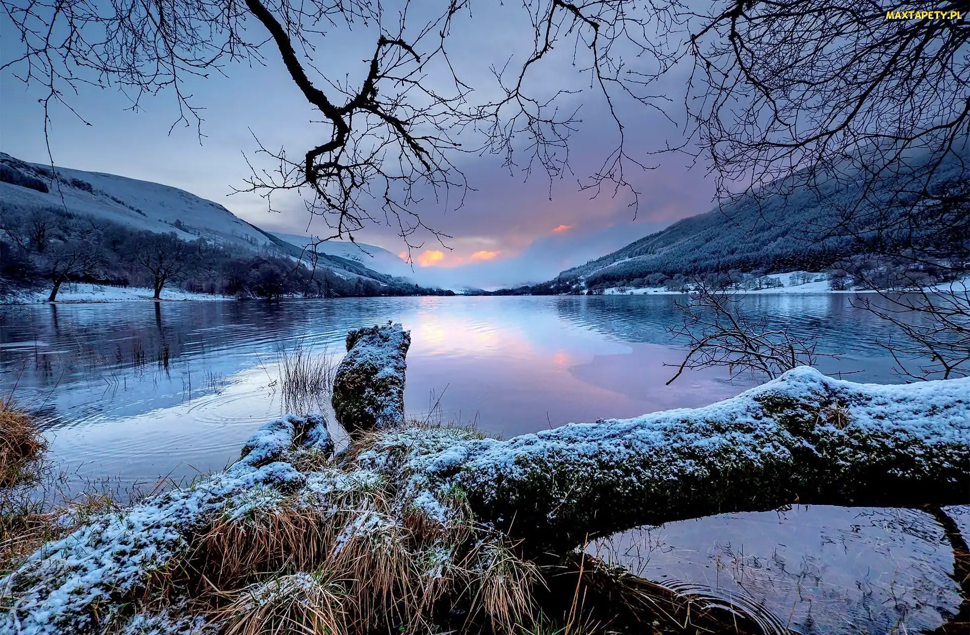 Jezioro Loch Voil, Góry, Szkocja, Drzewa, Zima, Lasy