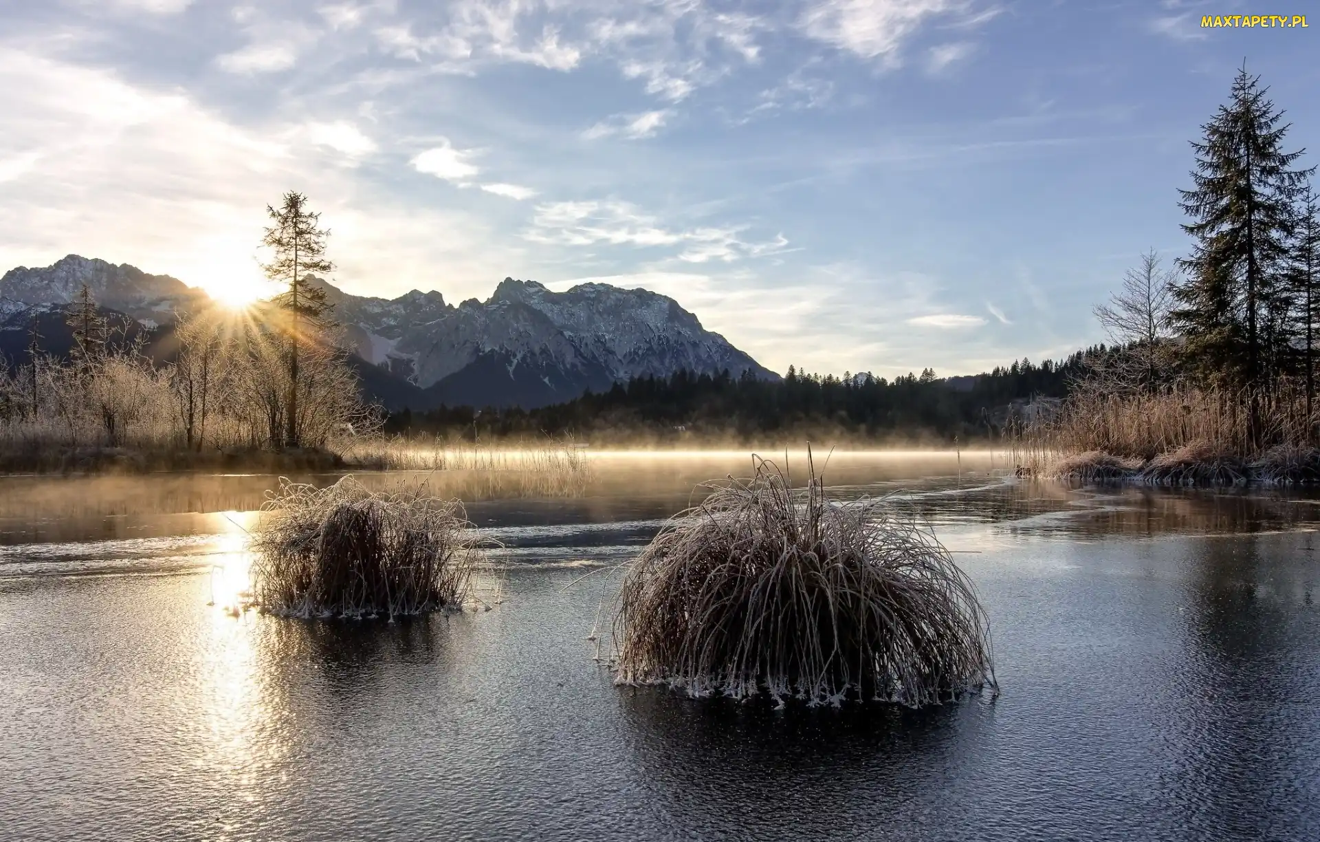 Wschód słońca, Trawy, Jezioro, Szron