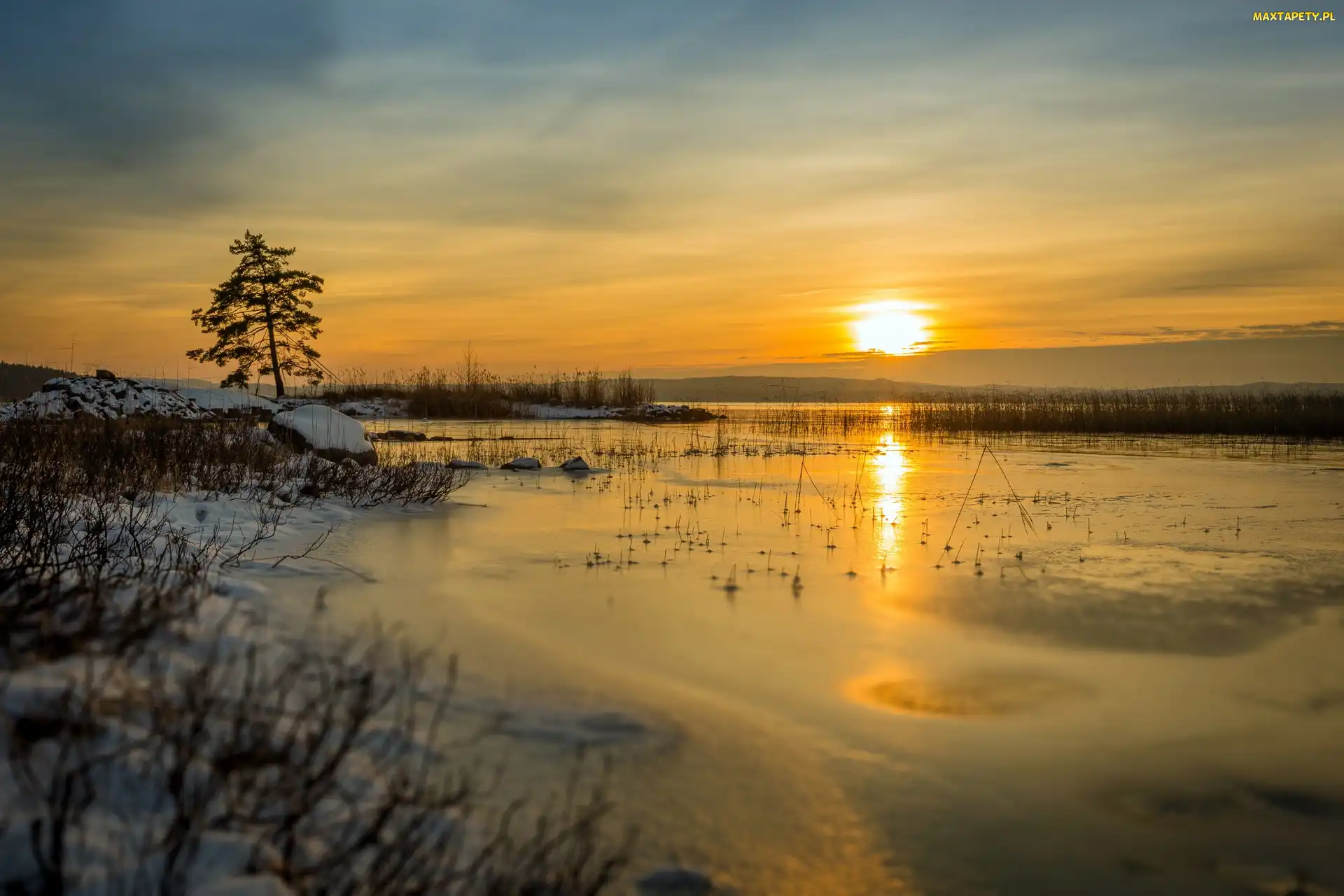 Jezioro Glafsfjorden, Szwecja, Drzewo, Wschód słońca, Zima