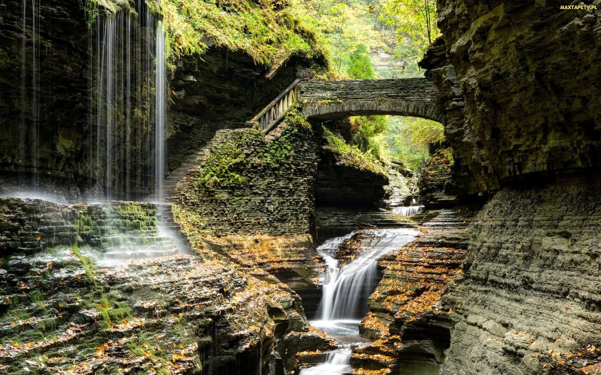 Park Narodowy Watkins Glen, Most, Skały, Wodospad, Stany Zjednoczone