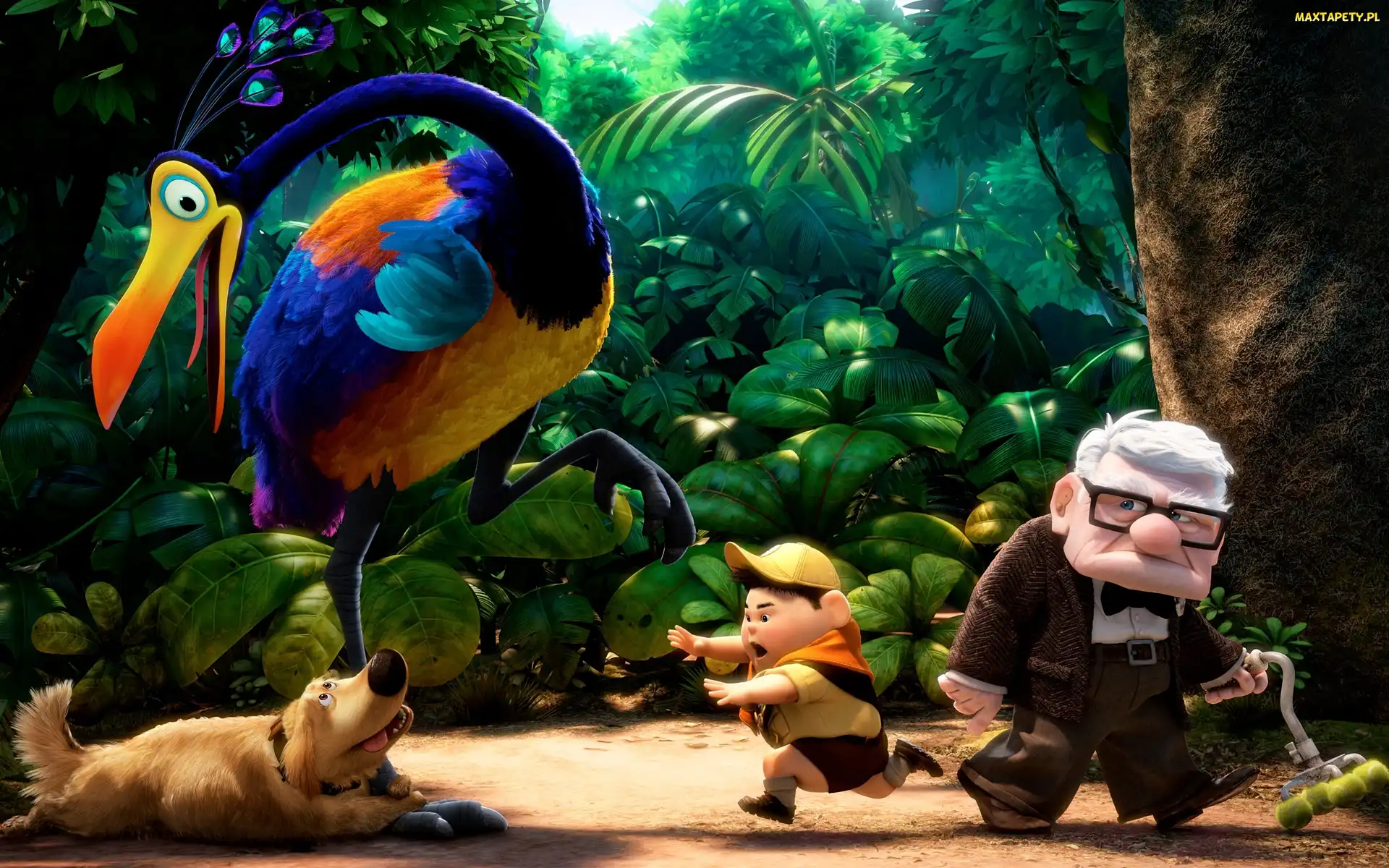Film animowany, Up, Ptak Stefan, Dziadek Carl Fredricksen, Skaut Russell, Odlot