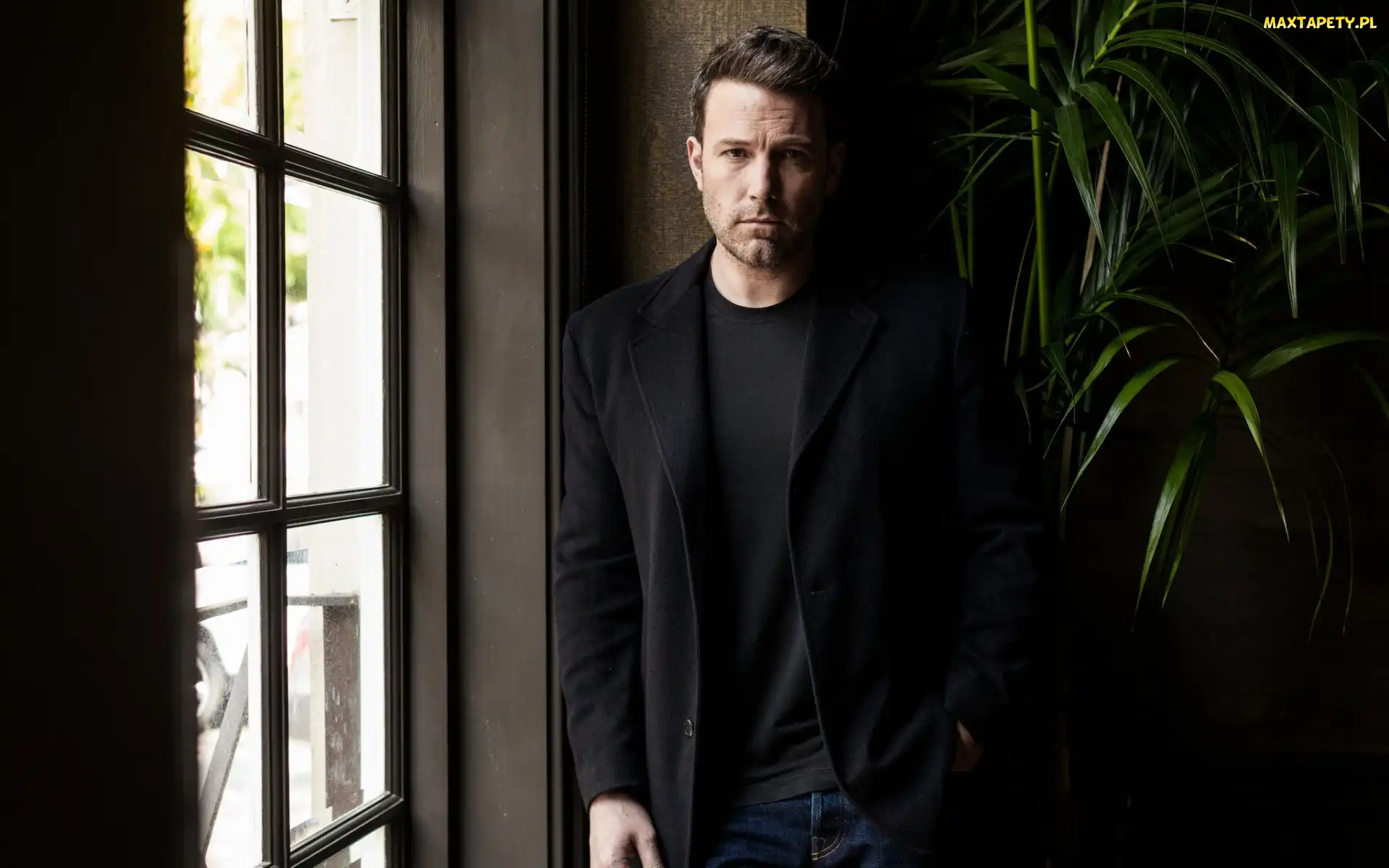 Roślina, Okno, Ben Affleck, Aktor
