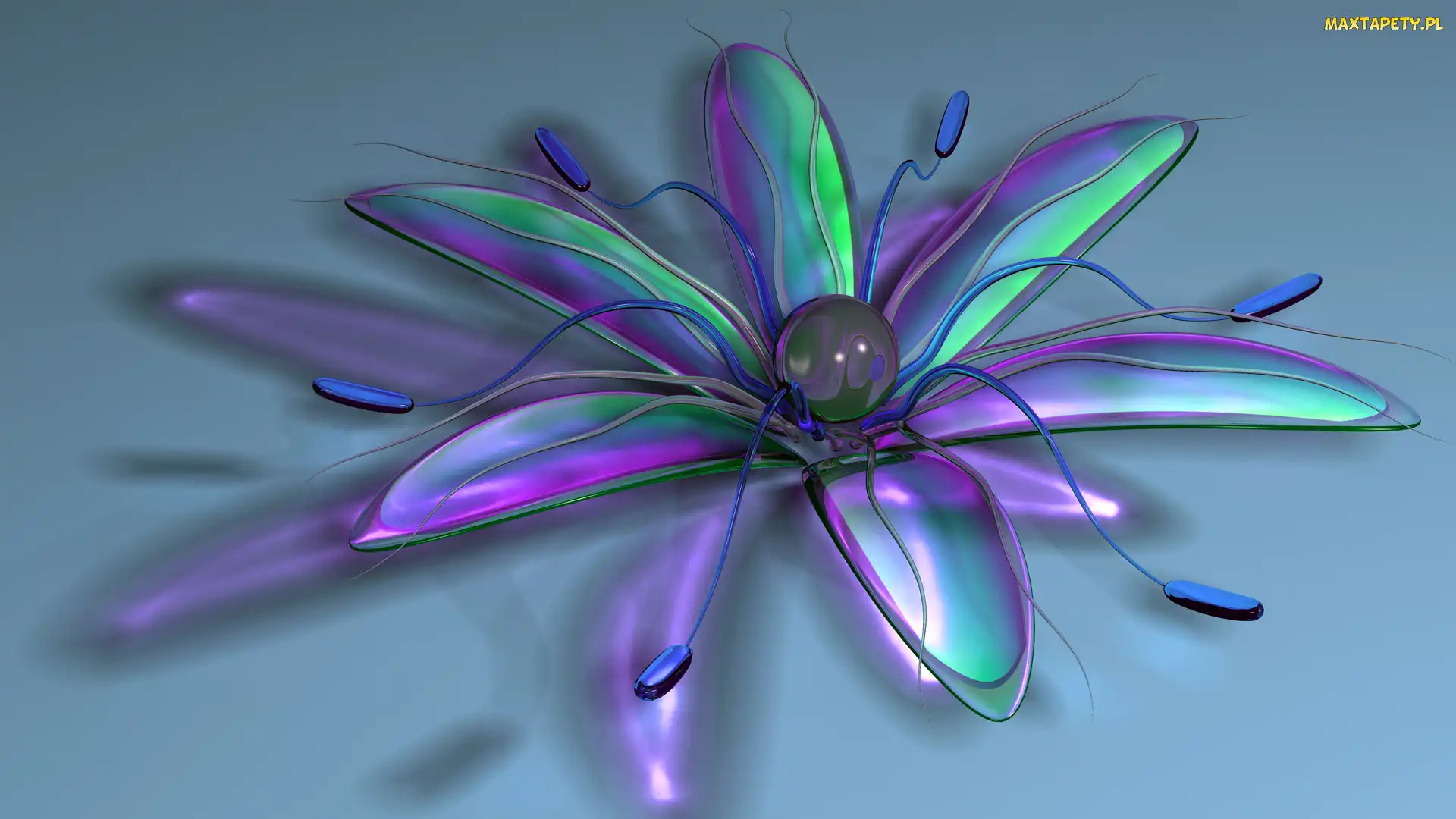 Grafika 3D, Kwiat