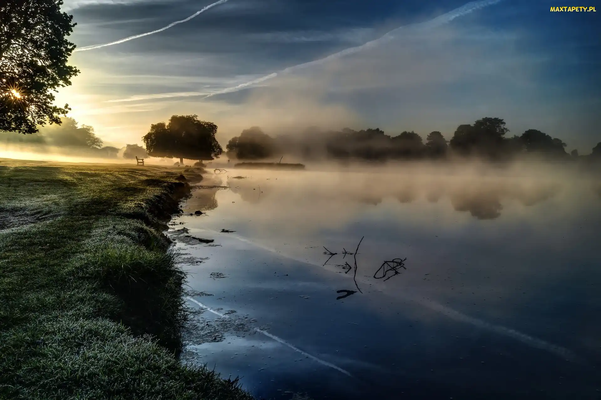 Drzewa, Wschód słońca, Jezioro, Mgła