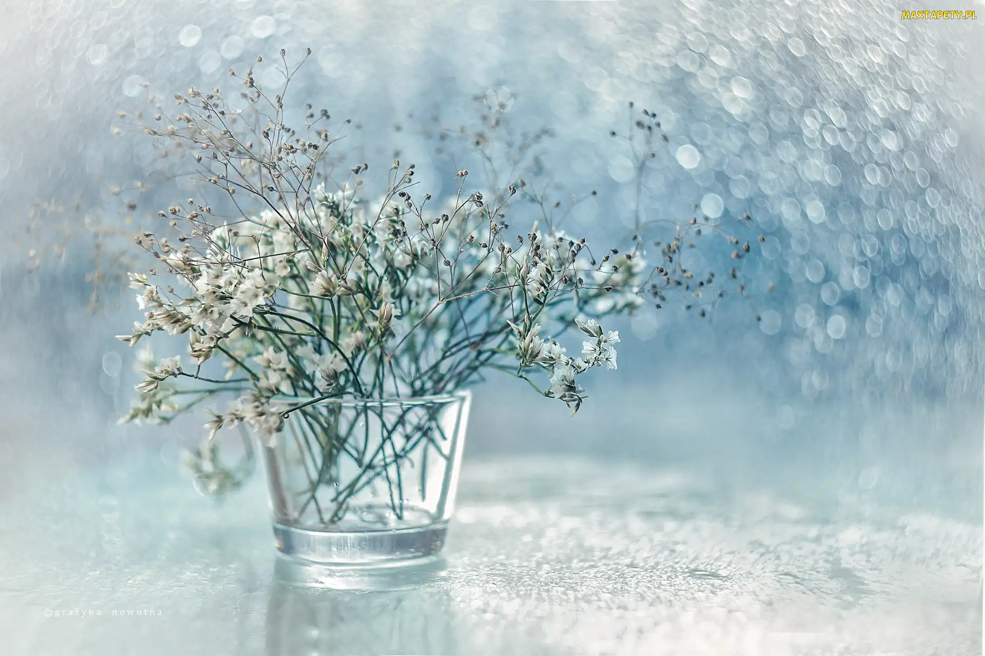 Suche, Bokeh, Wazonik, Rośliny, Dekoracja