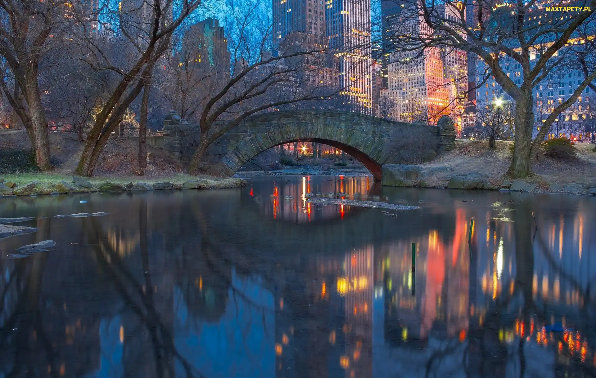 Domy, Drzewa, Manhattan, Nowy Jork, Central Park, Most