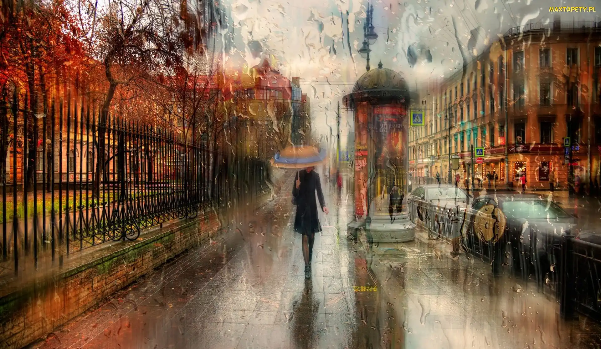 Ulica, Parasol, Sankt Petersburg, Rosja, Deszcz, Kobieta