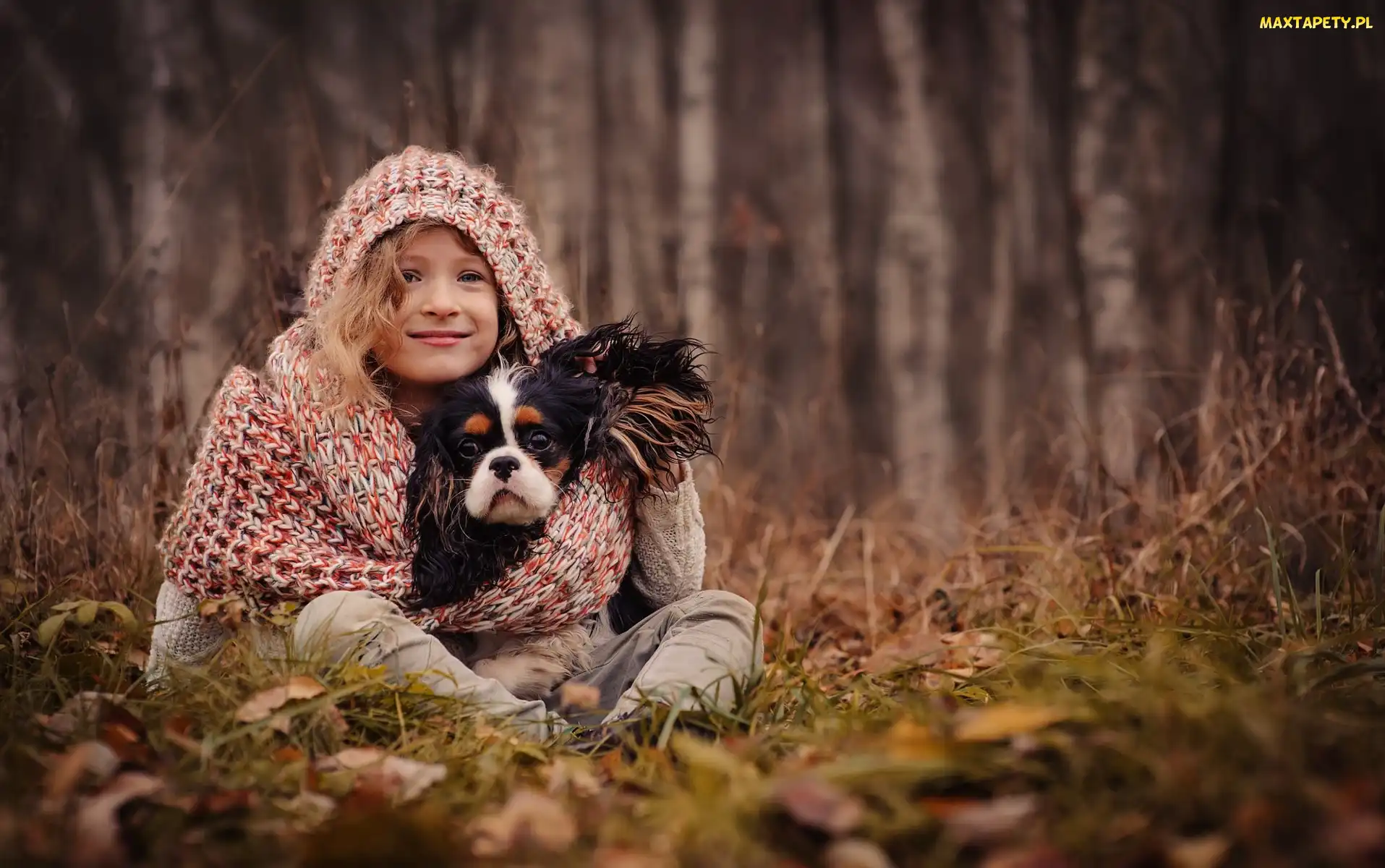 Dziewczynka, Cavalier king charles spaniel, Las
