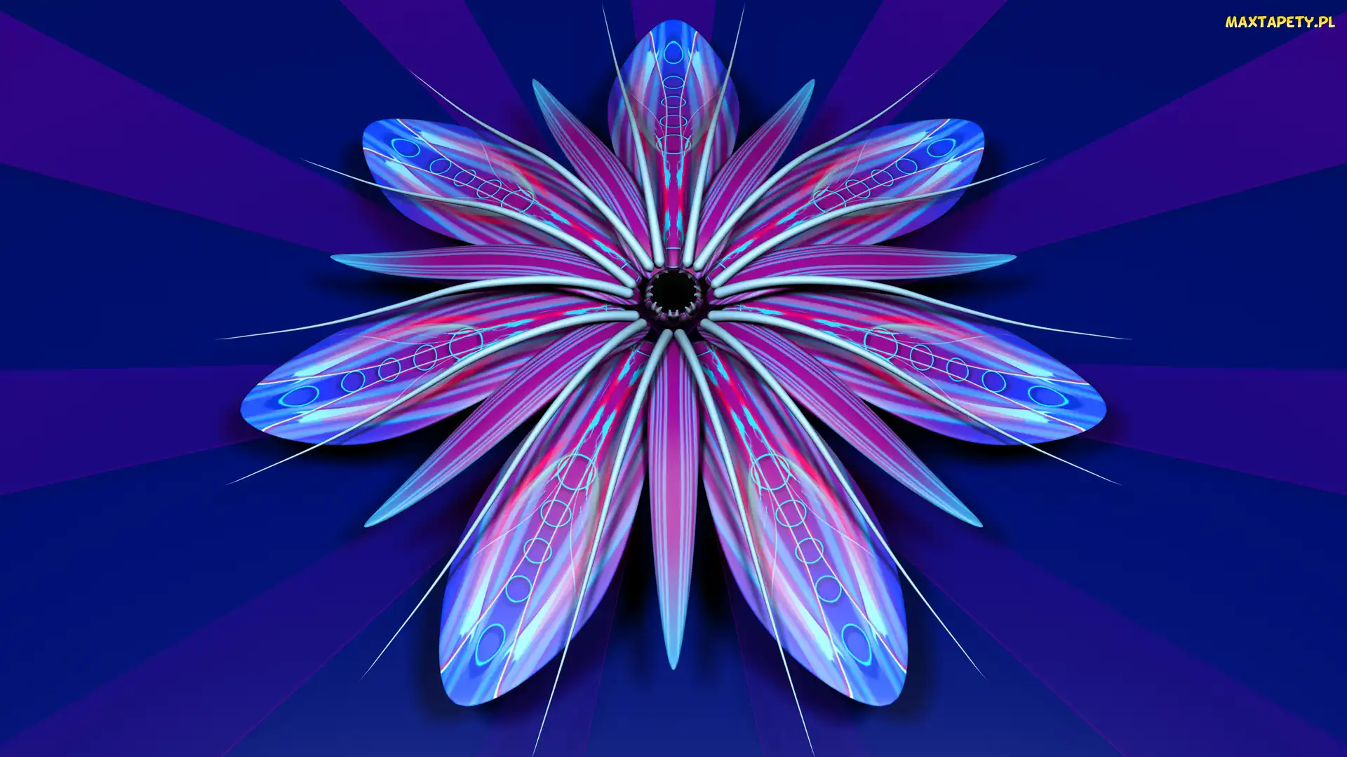 Kwiatek, Grafika 3D