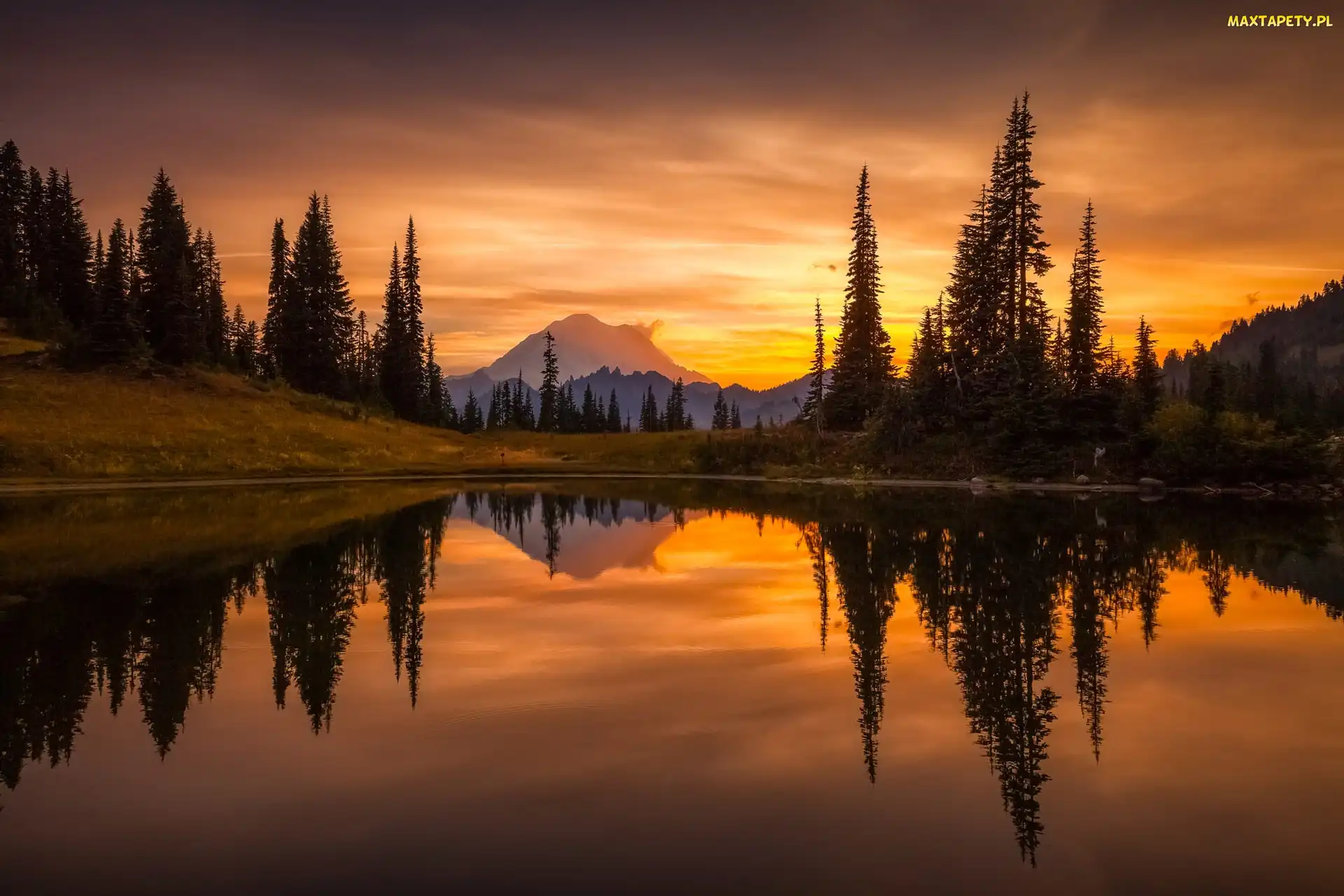 Odbicie, Drzewa, Stan Waszyngton, Zachód Słońca, Jezioro, Stany Zjednoczone, Park Narodowy Mount Rainier Stratowulkan Mount Rainier