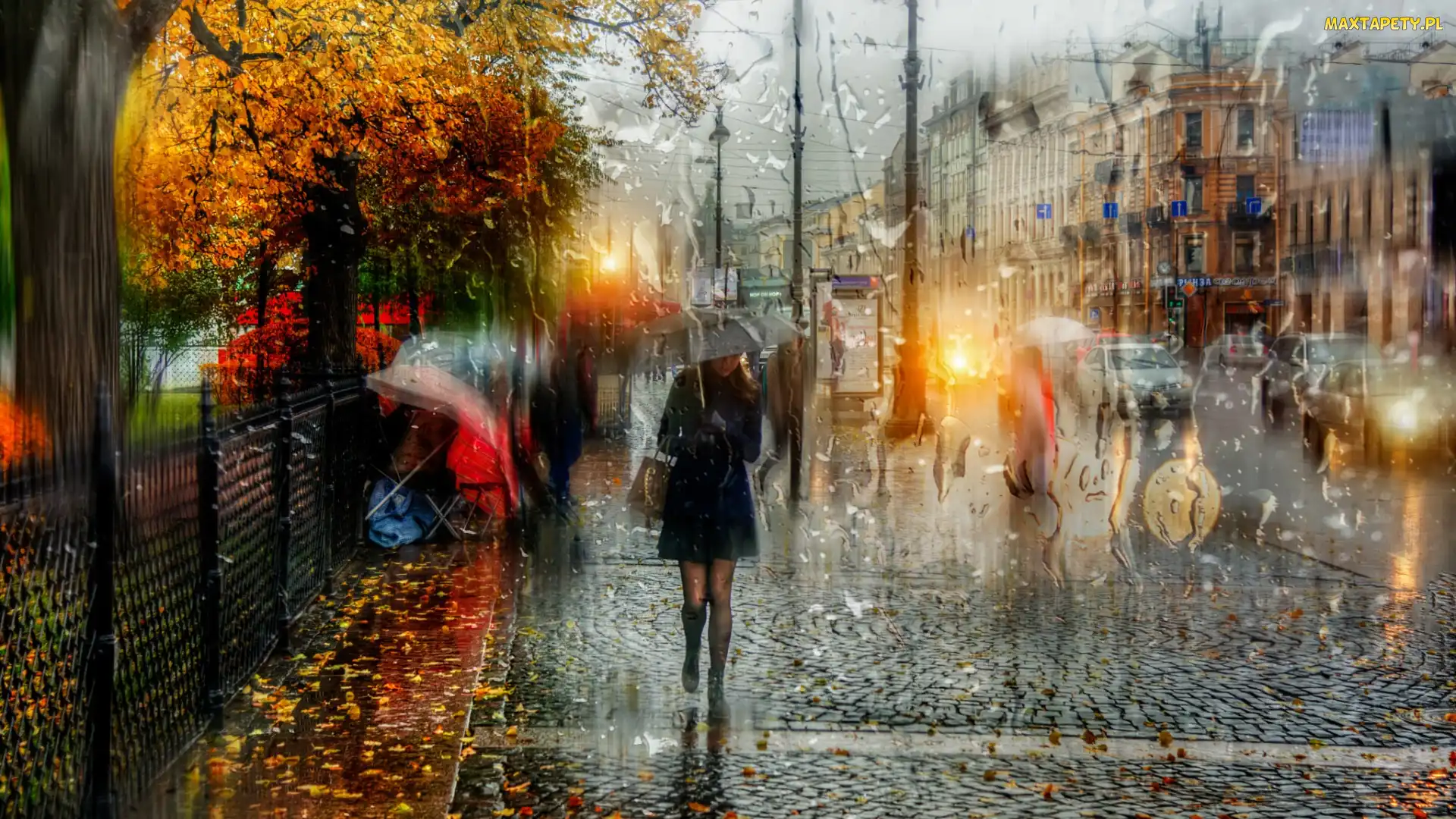 Kobieta, Deszcz, Ulica, Parasol, Petersburg
