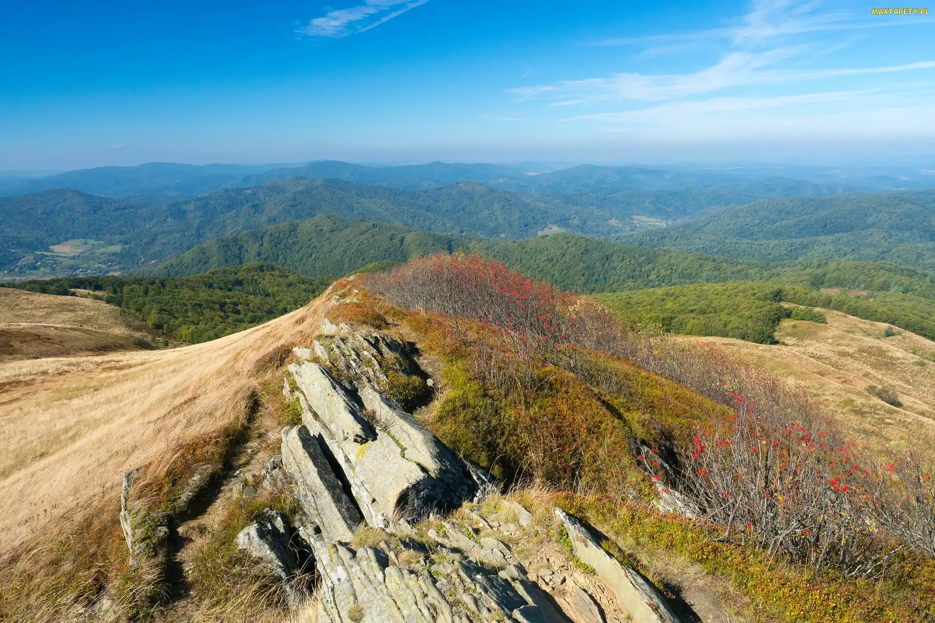 Góry Bieszczady, Wzgórza, Polska