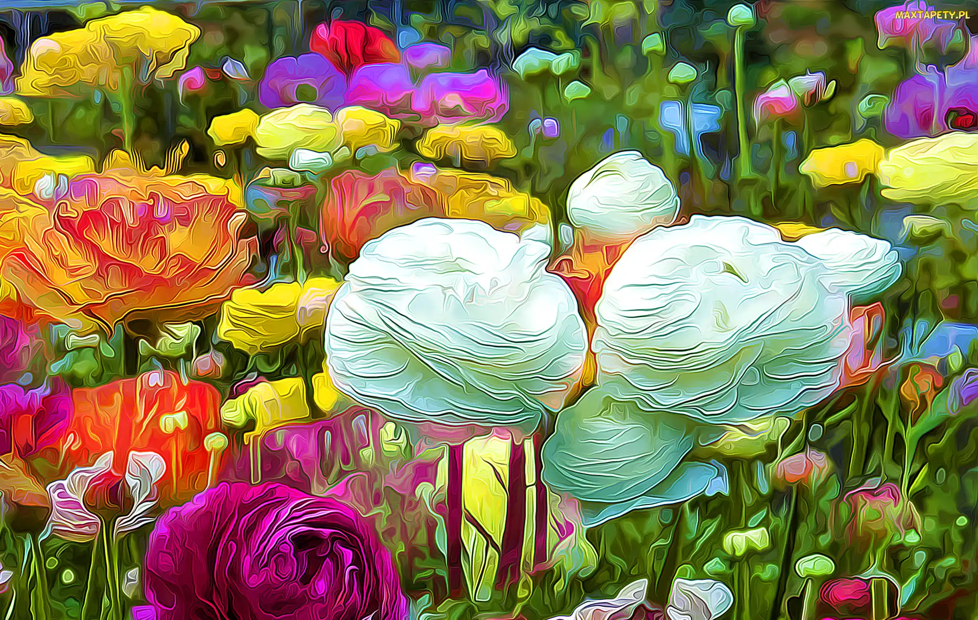Grafika, Fractalius, Kwiaty