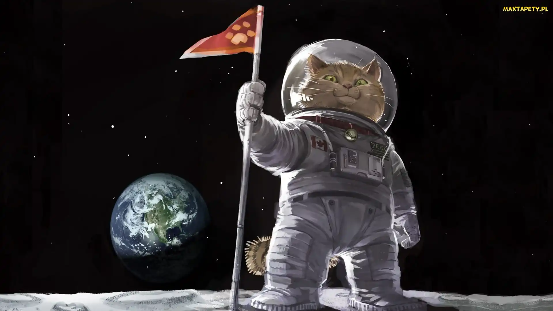 Grafika3D 3, Śmieszne, Kot, Astronauta