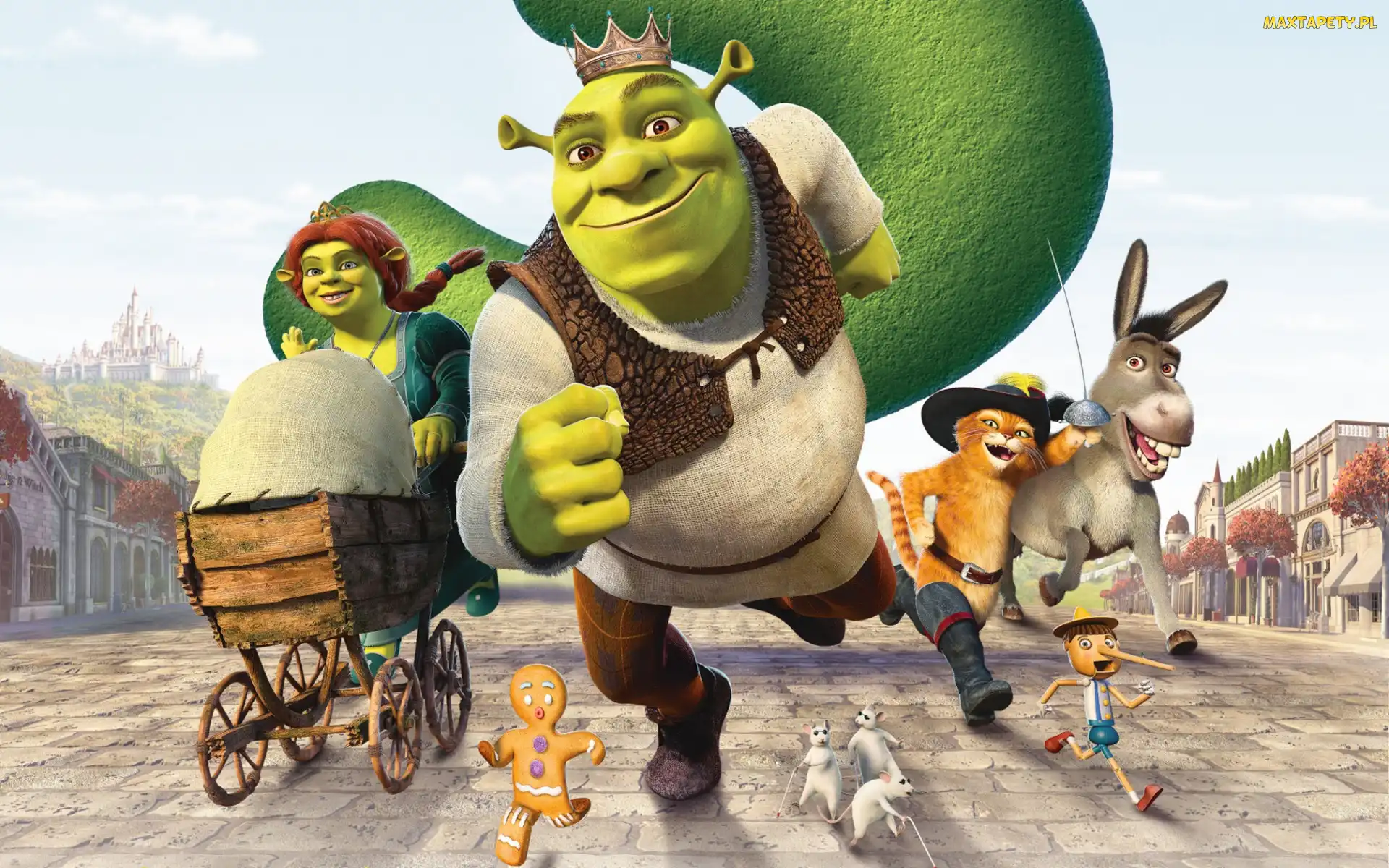 Fiona, Shrek, Film, Bajka