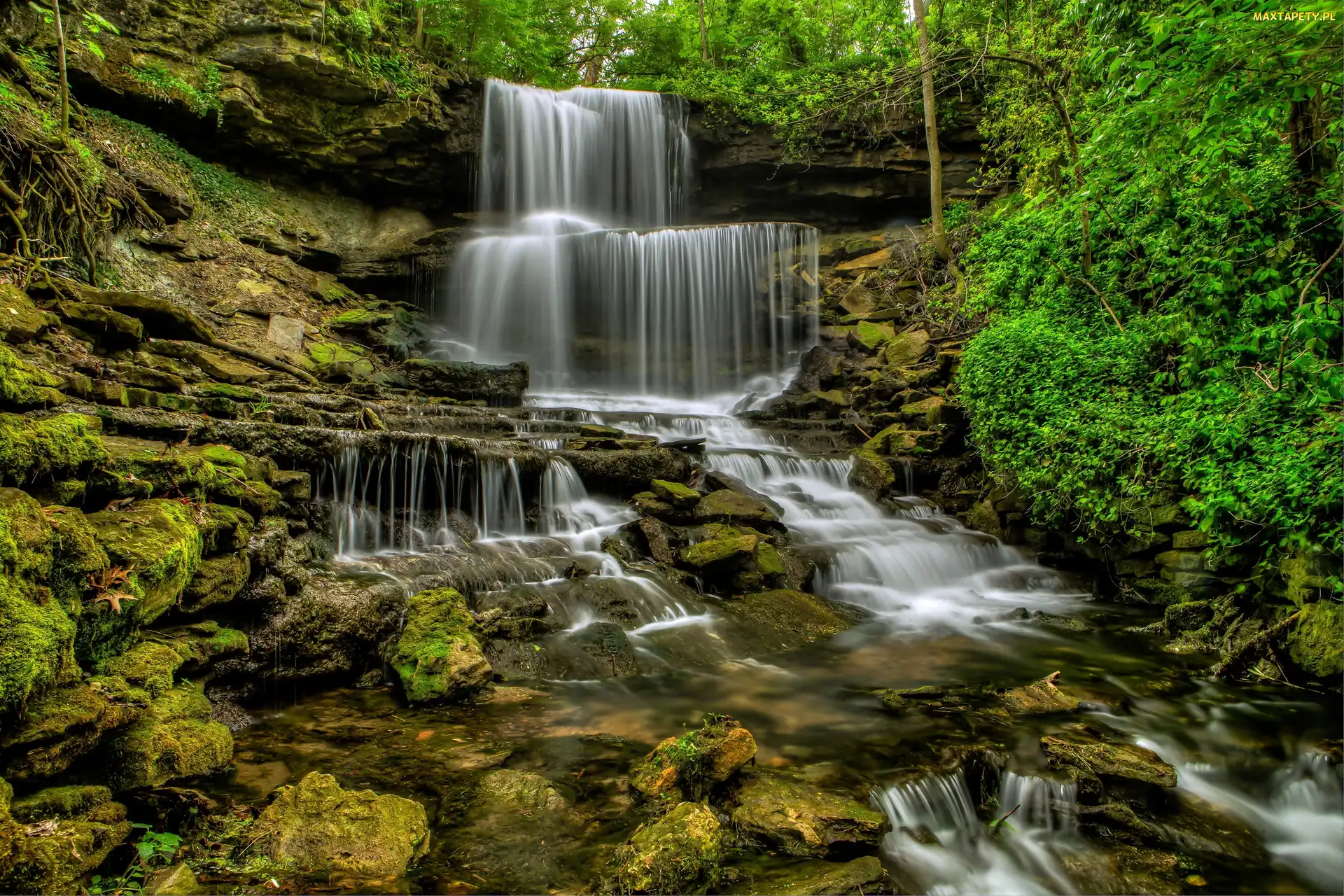 Drzewa, Skały, Stan Ohio, Stany Zjednoczone, Wodospad West Milton Cascades, Kaskada