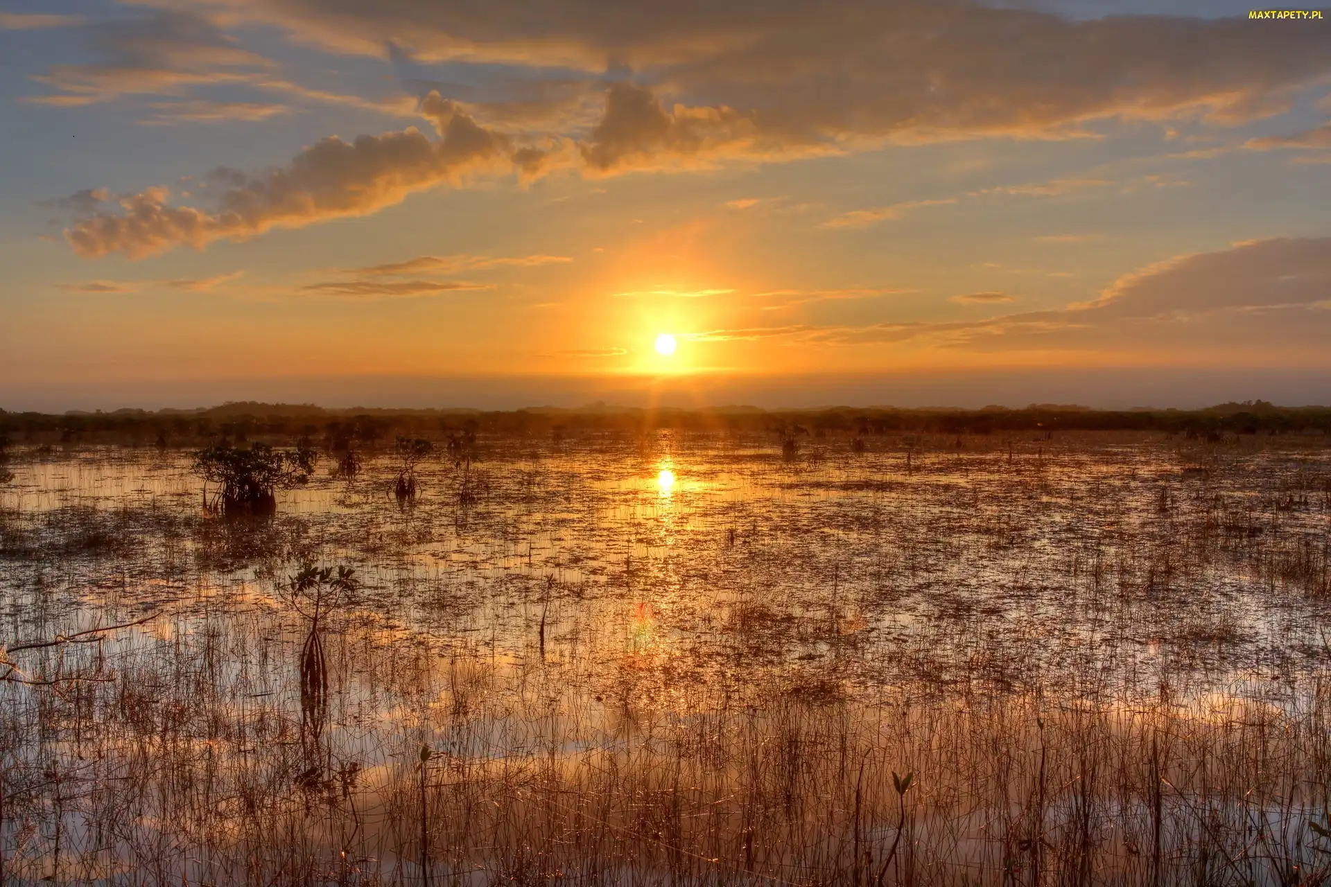 Floryda, Bagno, Zachód Słońca, Park Narodowy Everglades, Stany Zjednoczone