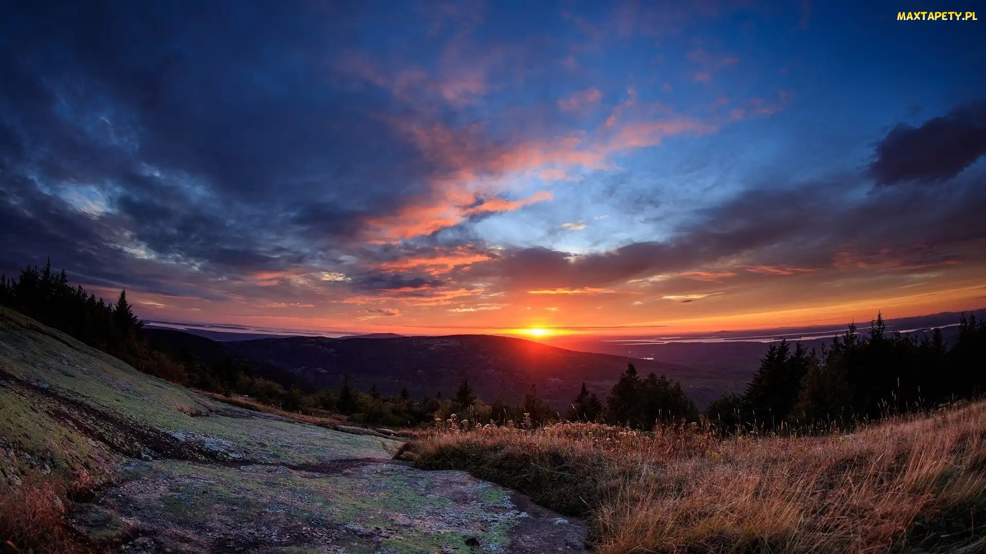 Wzgórza, Drzewa, Stan Maine, Stany Zjednoczone, Park Narodowy Acadia, Zachód słońca