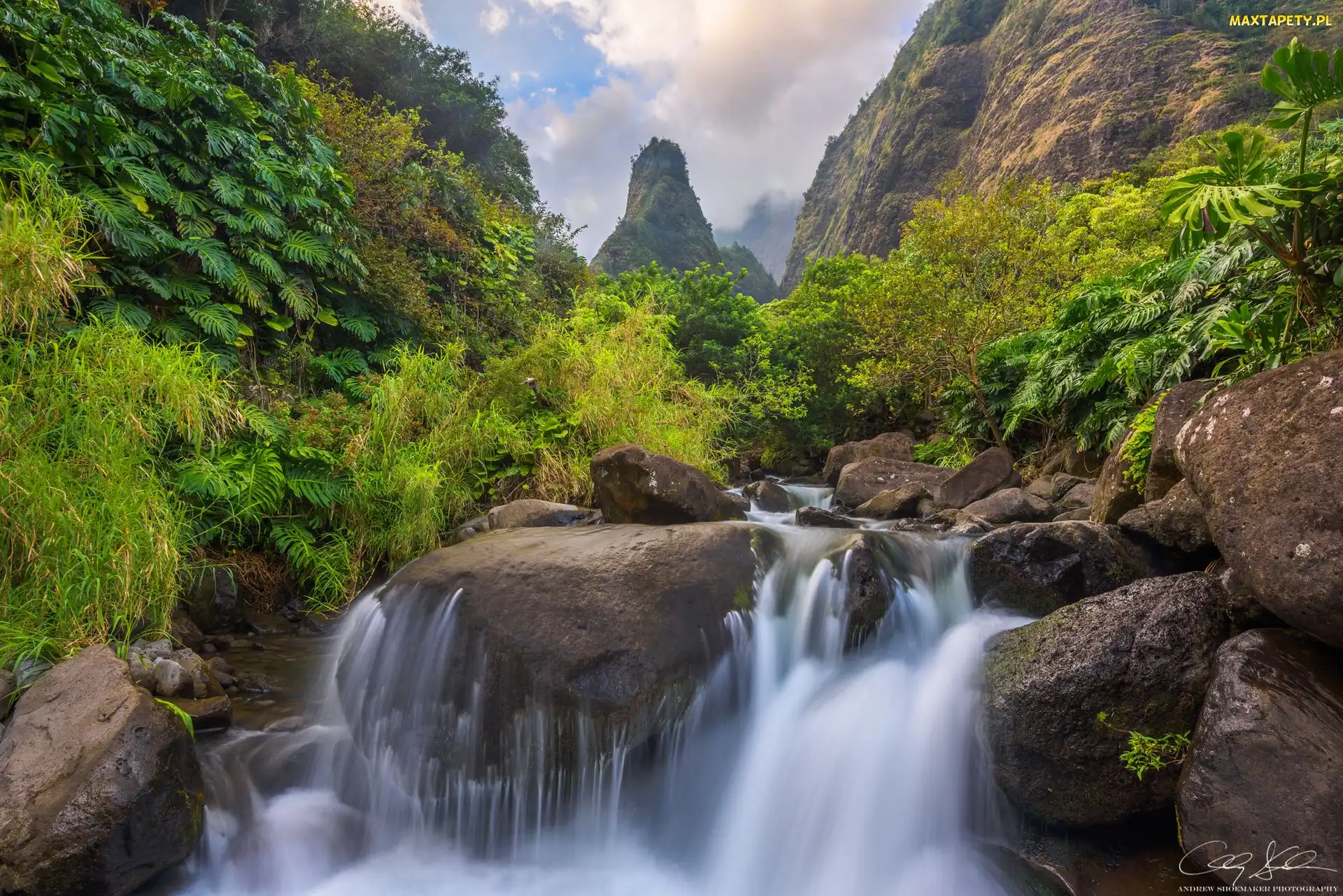 Wyspa Maui, Roślinność, Skały, Potok Iao Valley, Hawaje