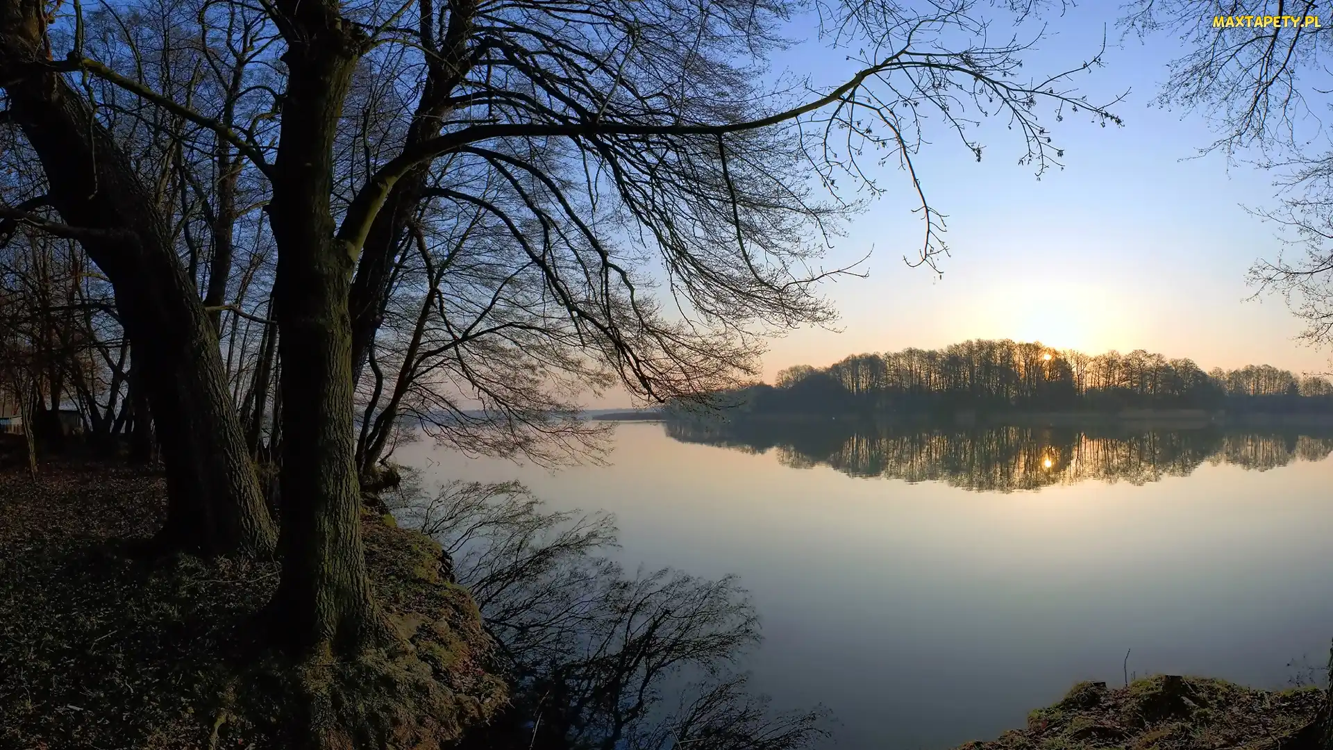Drzewa, Wschód słońca, Jezioro