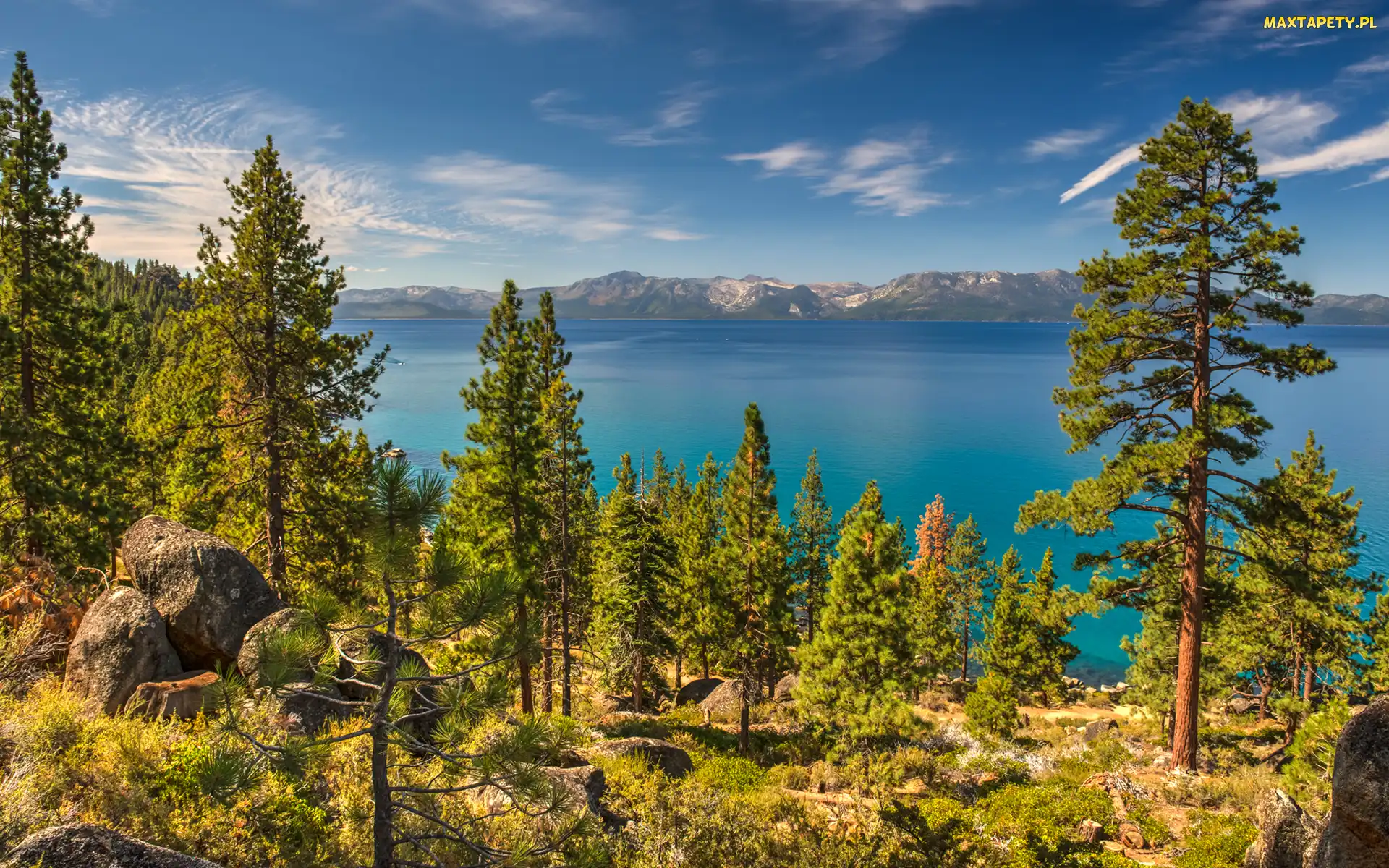 Stany Zjednoczone, Drzewa, Jezioro Tahoe, Wzgórza, Stan Newada